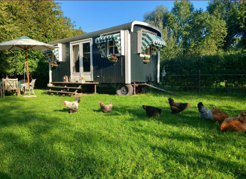 Natuurhuisje in Koudekerke