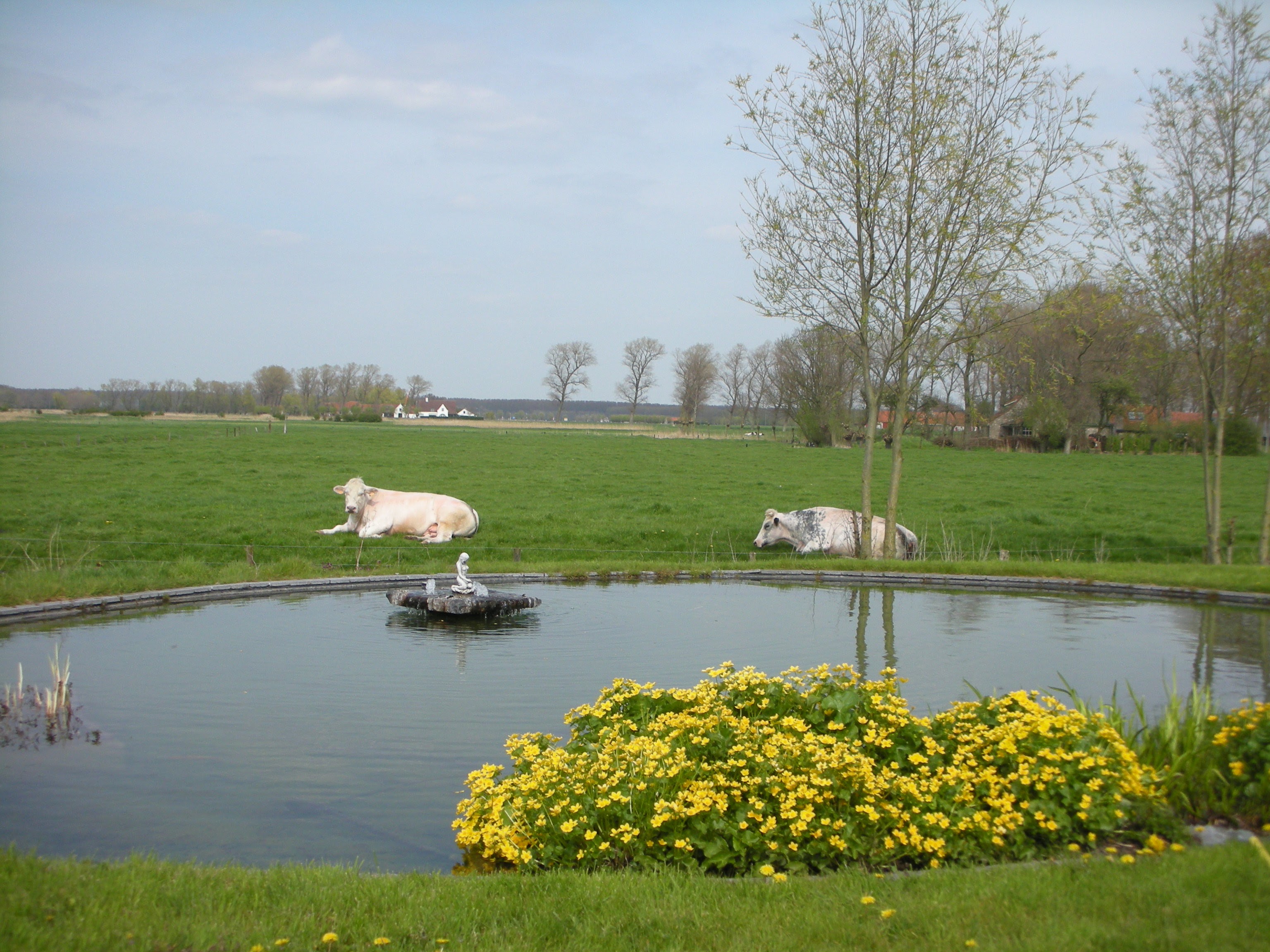 Natuurhuisje in Damme - Oostkerke
