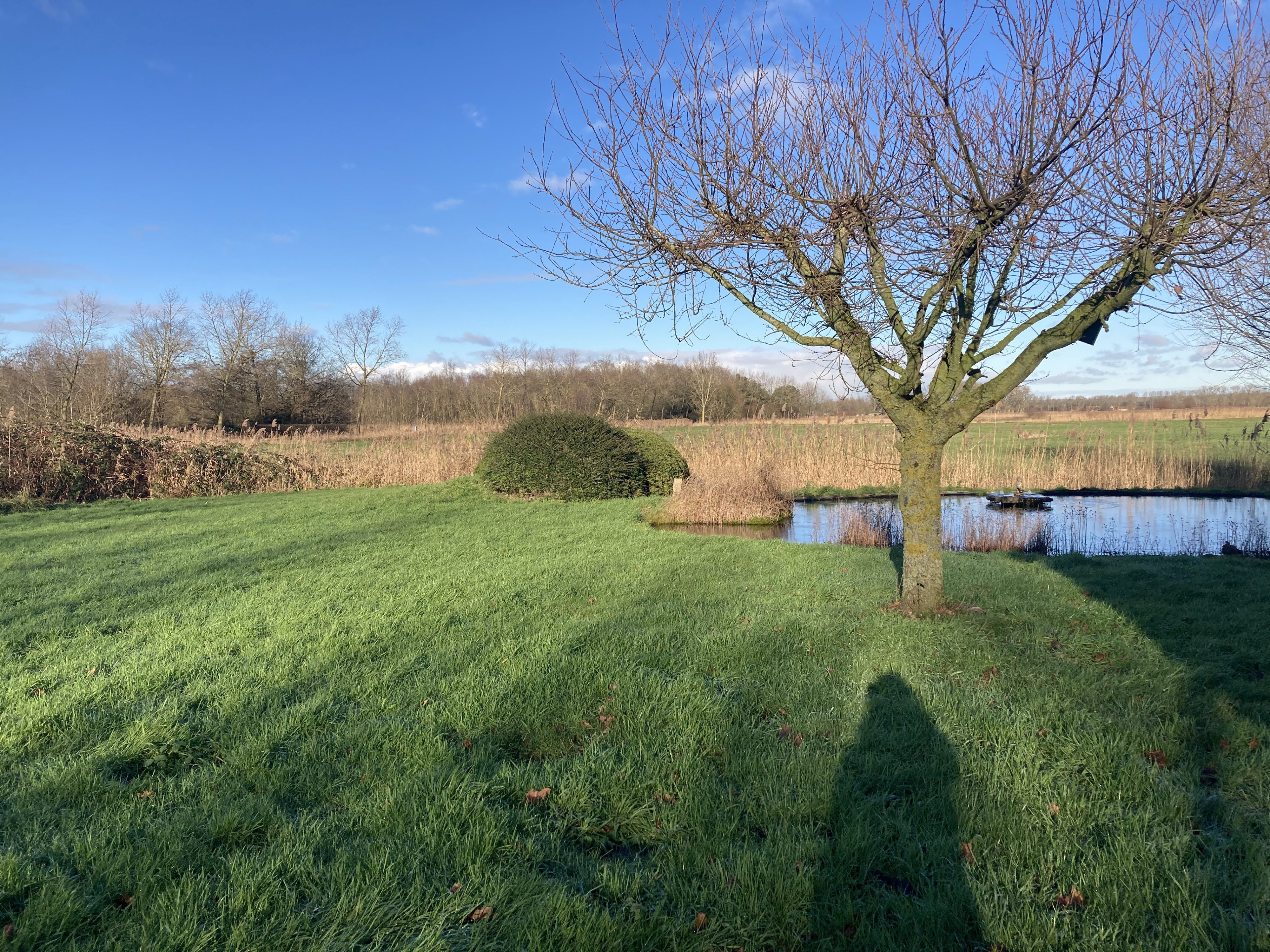 Natuurhuisje in Damme - Oostkerke