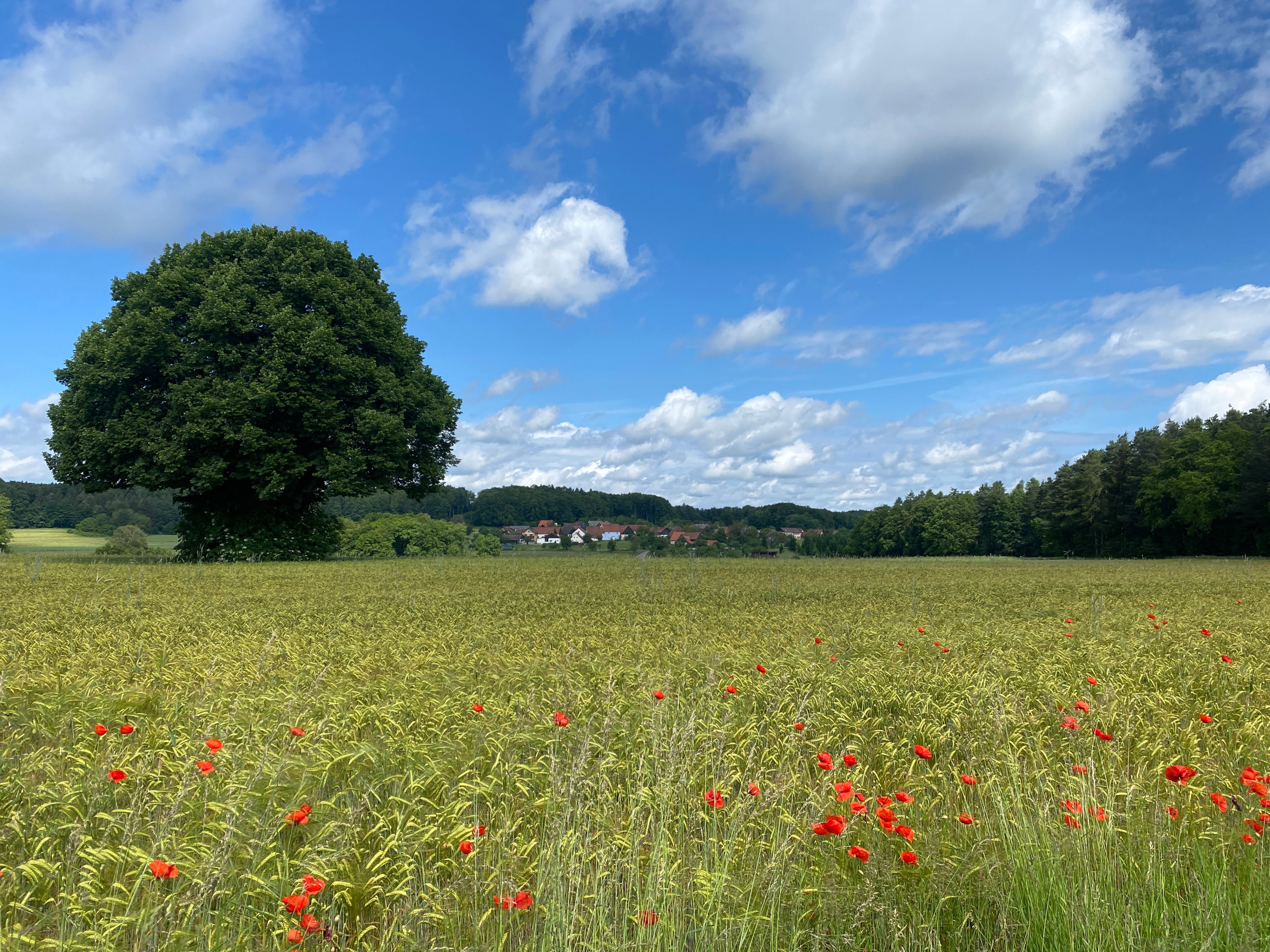 Casa nella natura a Gößweinstein