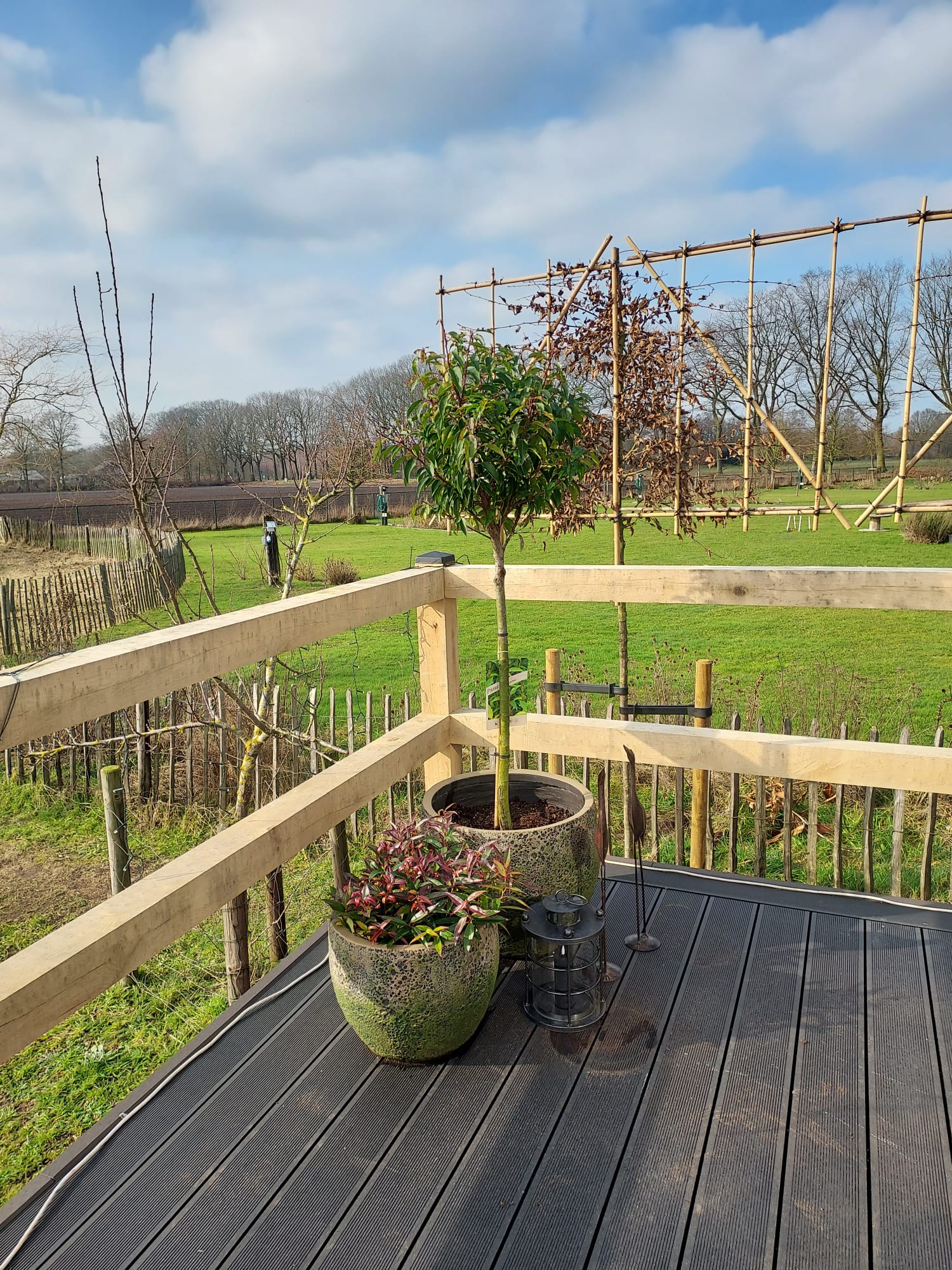 Natuurhuisje in Handel