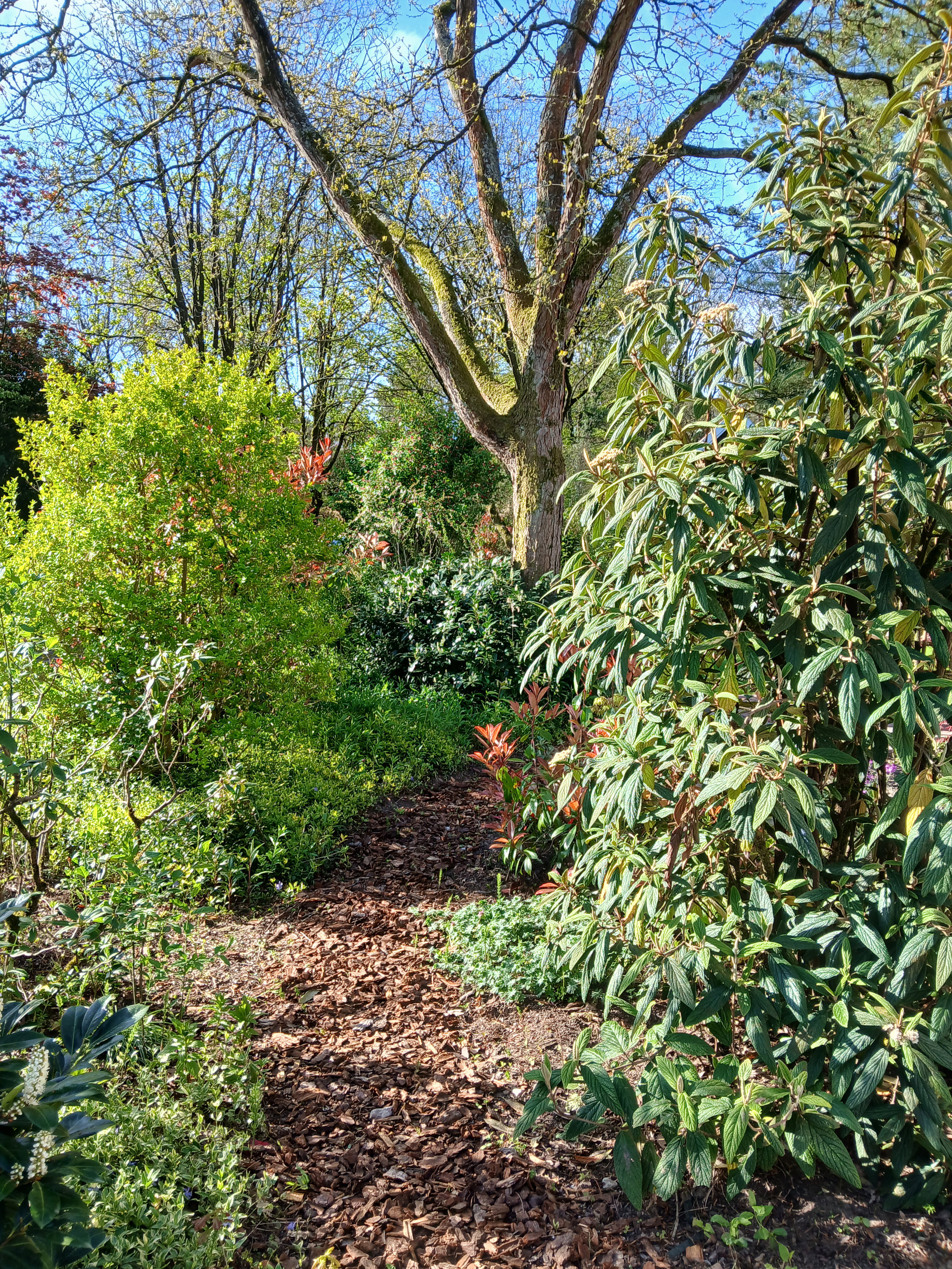 Nature house in Winterswijk
