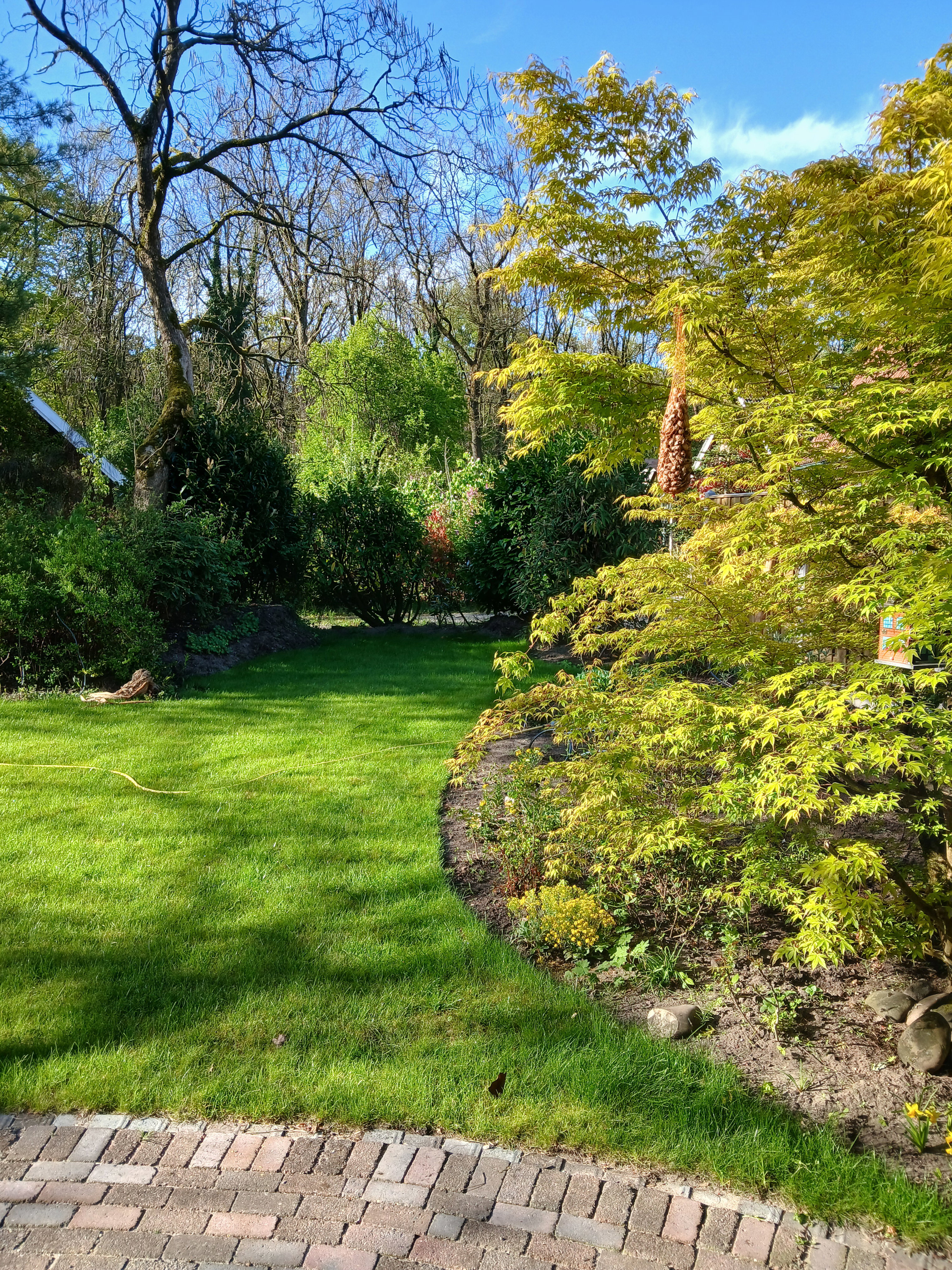 Nature house in Winterswijk