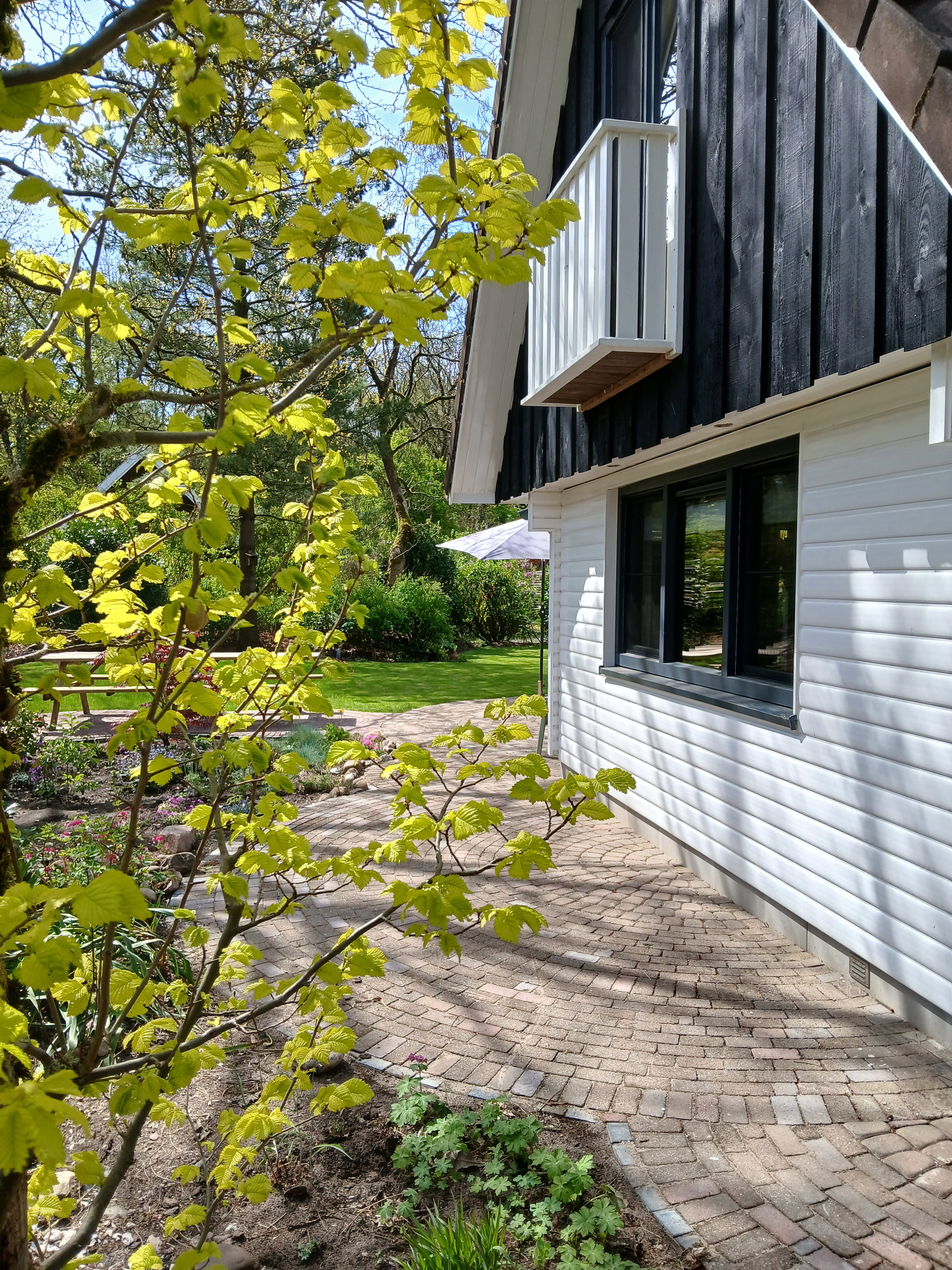 Nature house in Winterswijk