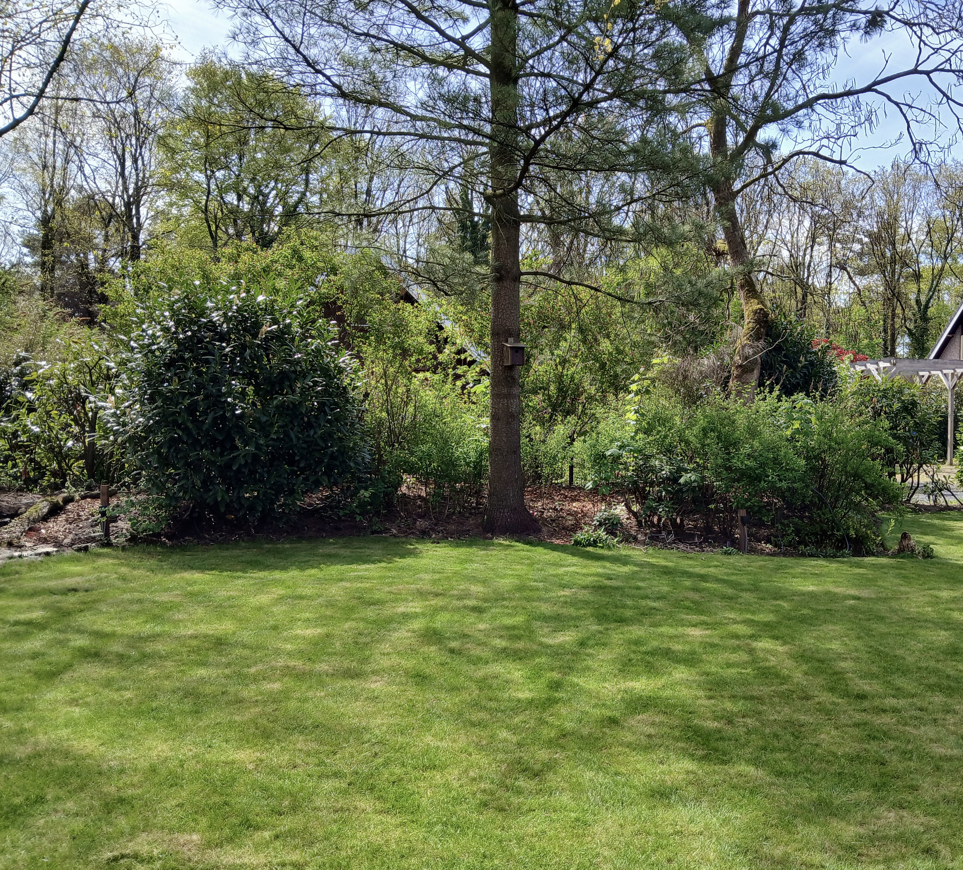 Nature house in Winterswijk
