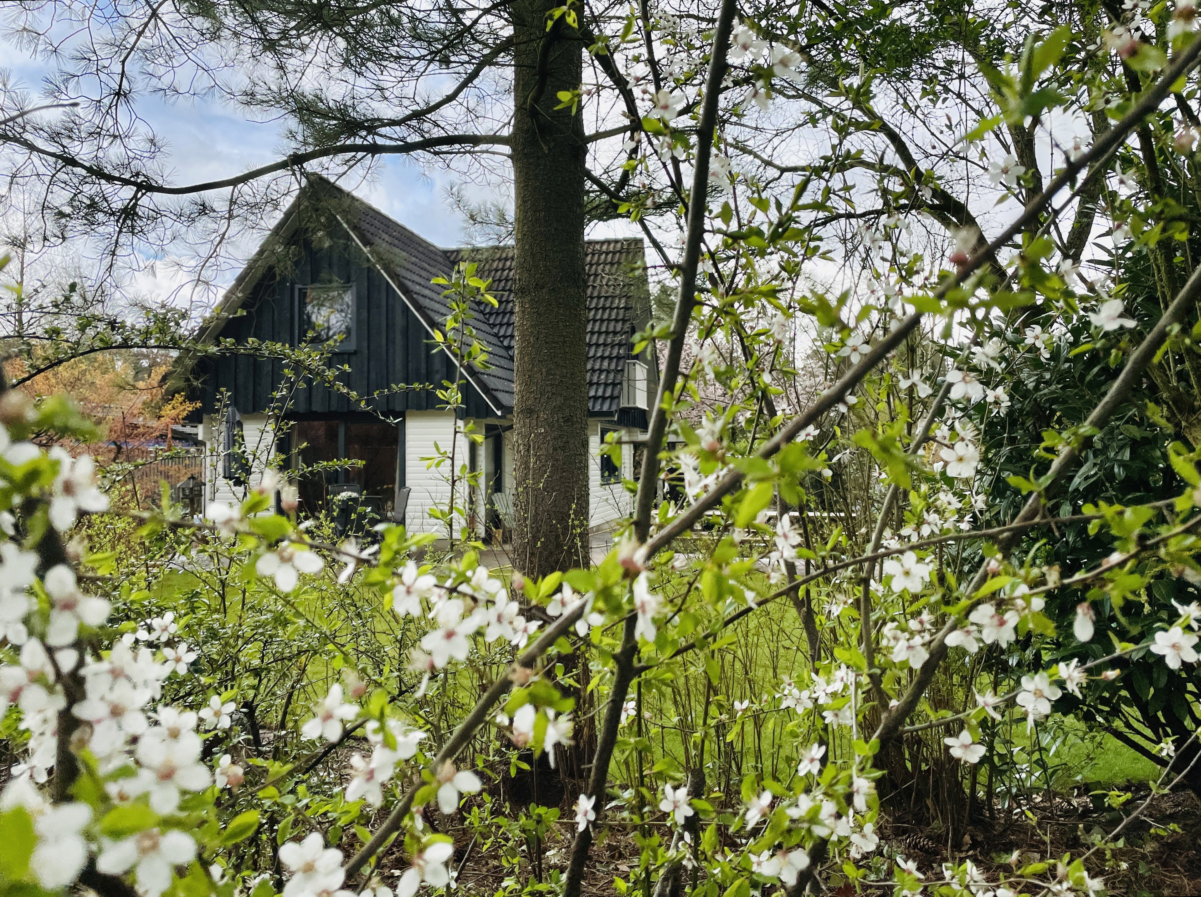 Nature house in Winterswijk