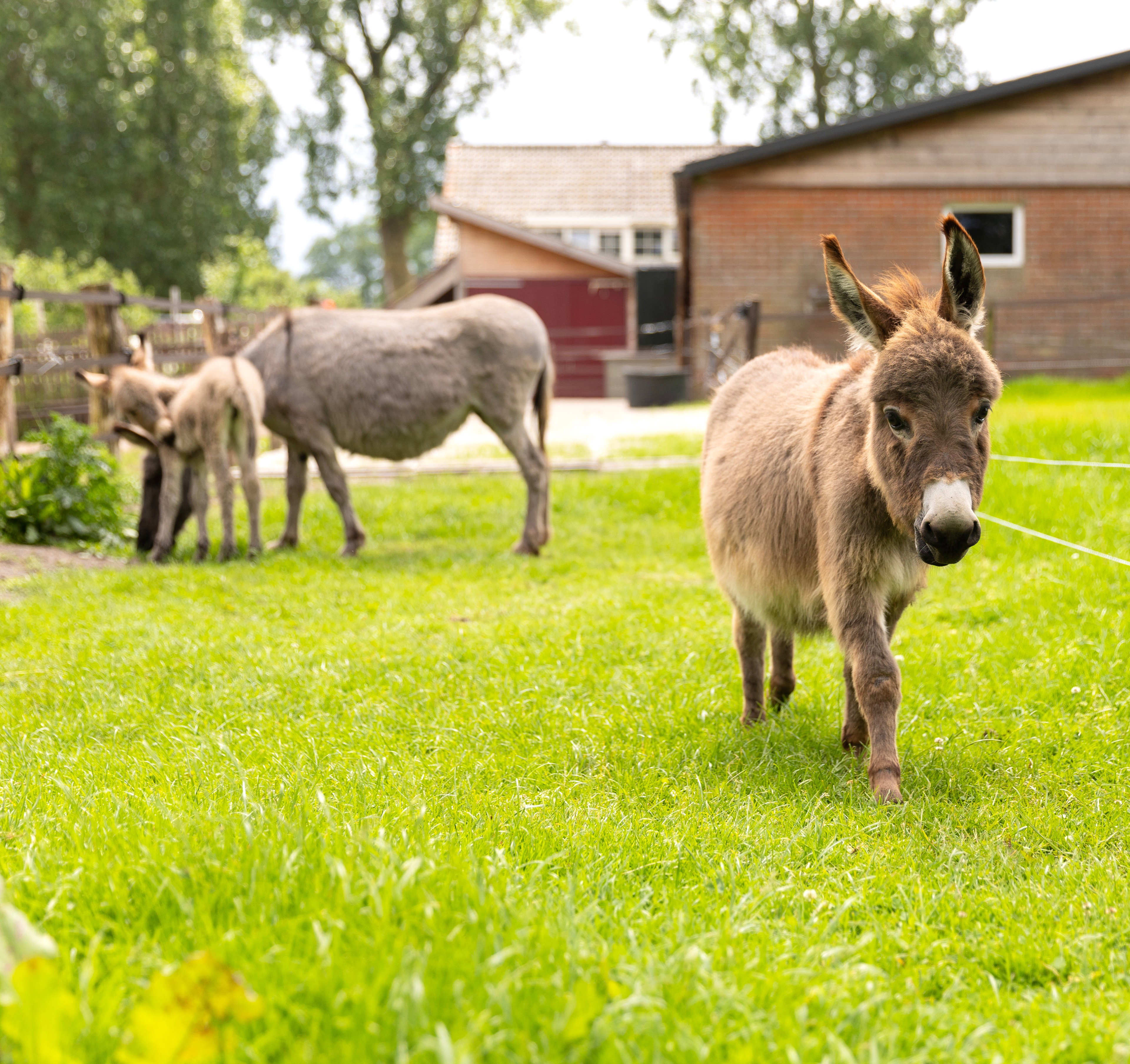Nature house in Heemserveen