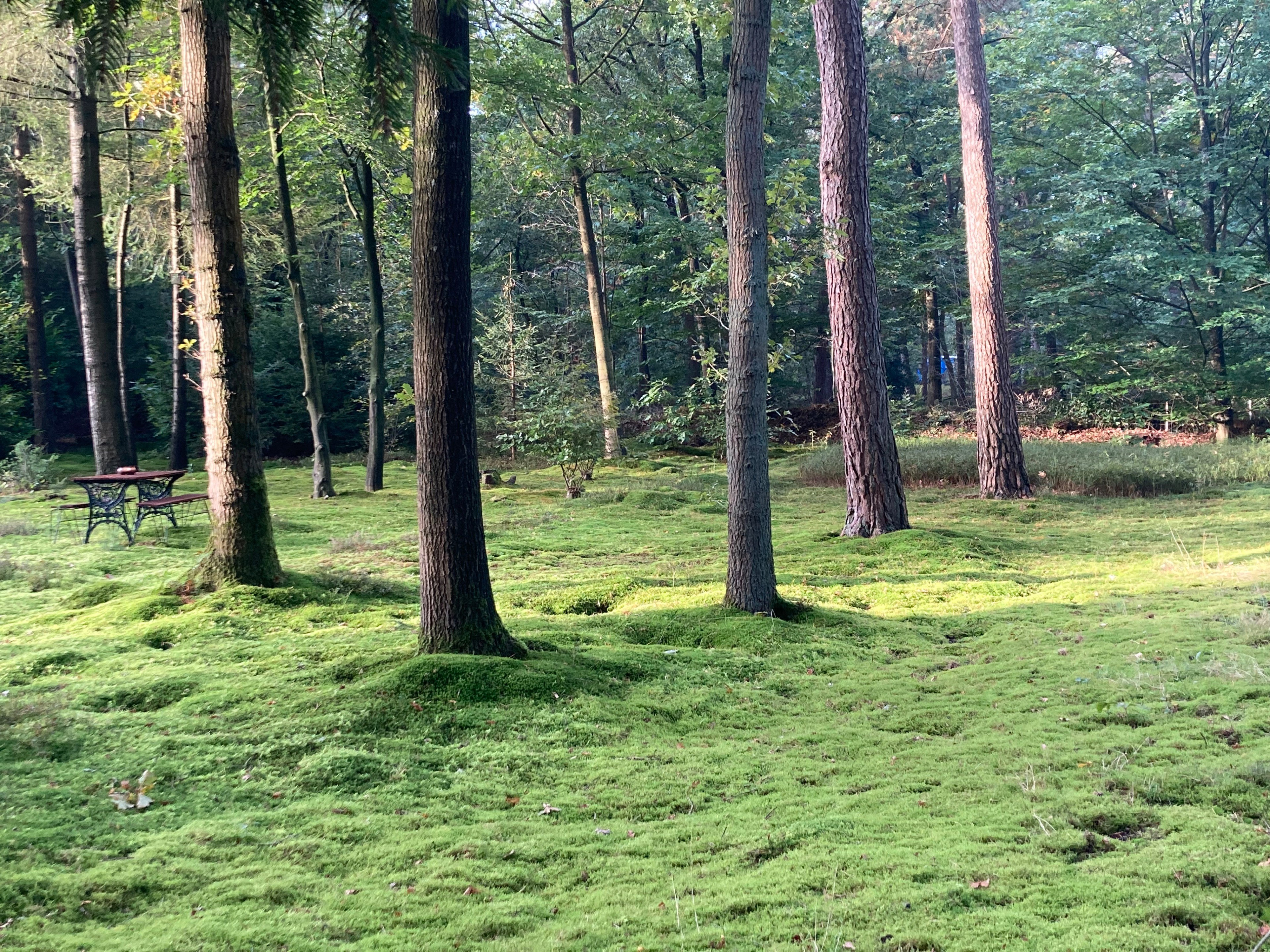 - image: 21