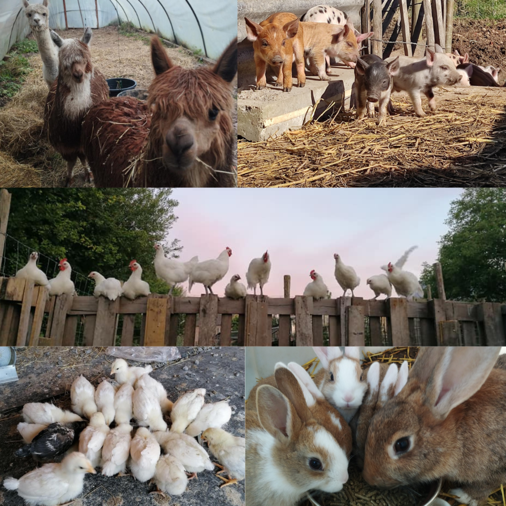 Naturhäuschen in Heers