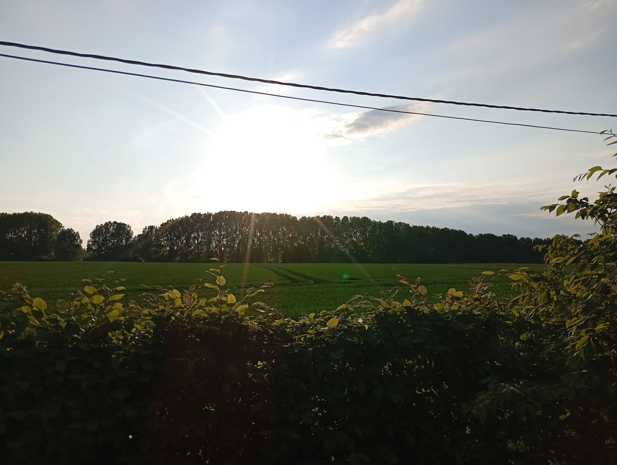 - image: 16