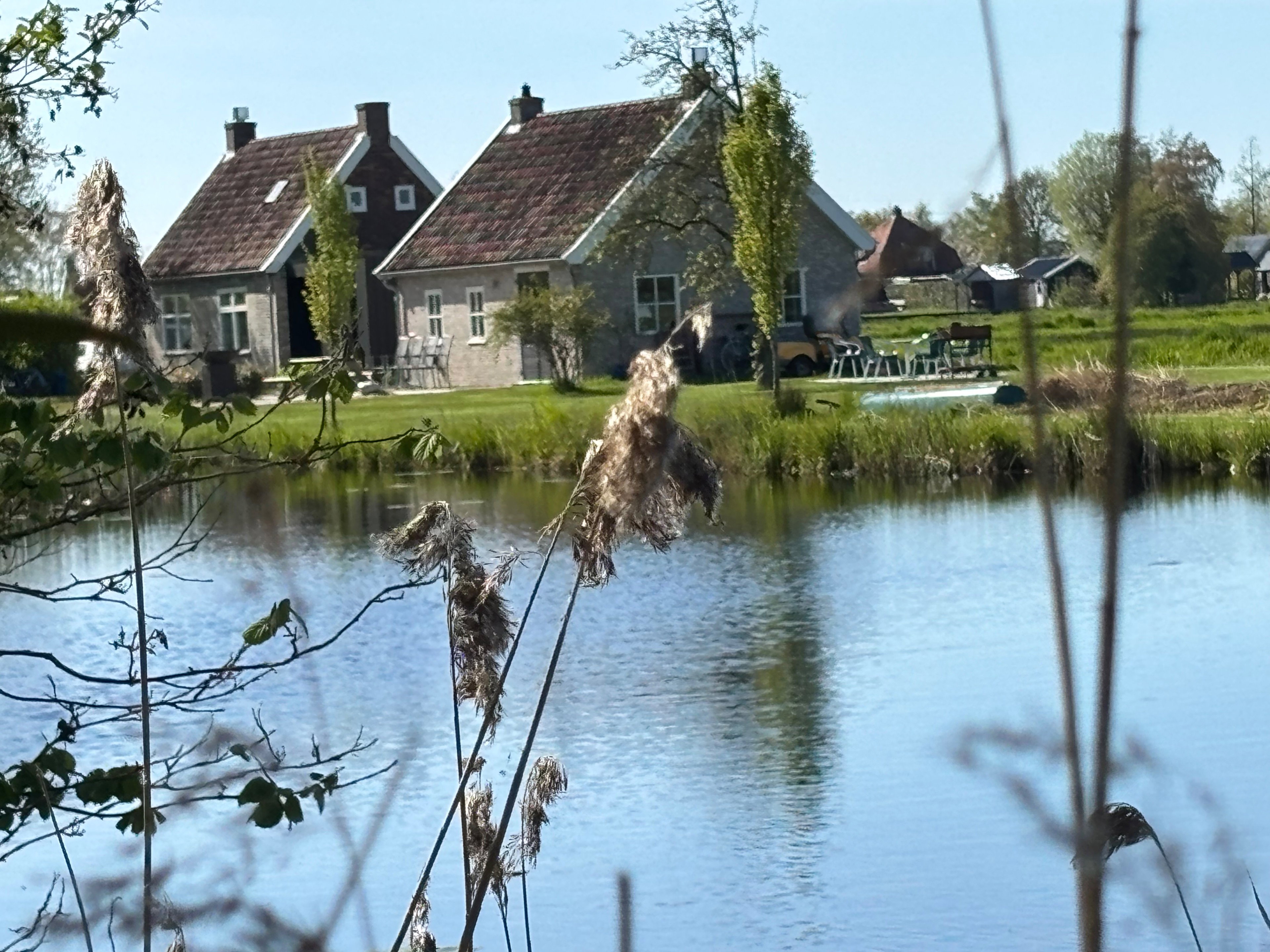 - image: 29