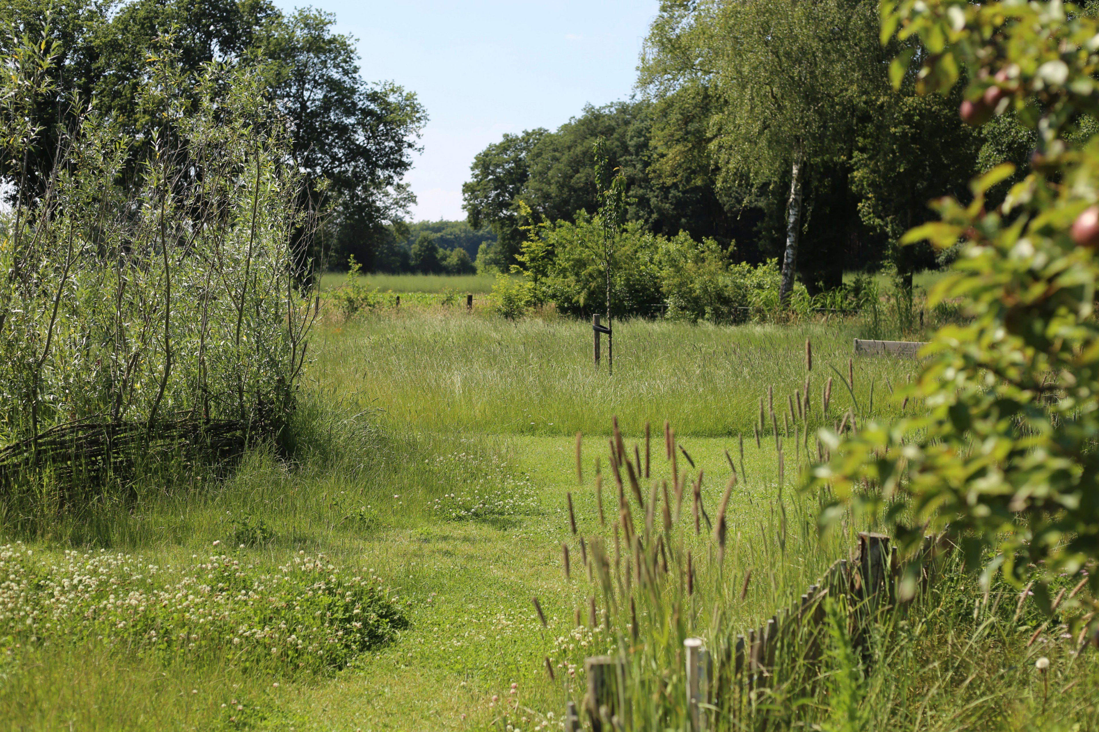 Natuurhuisje in Okkenbroek
