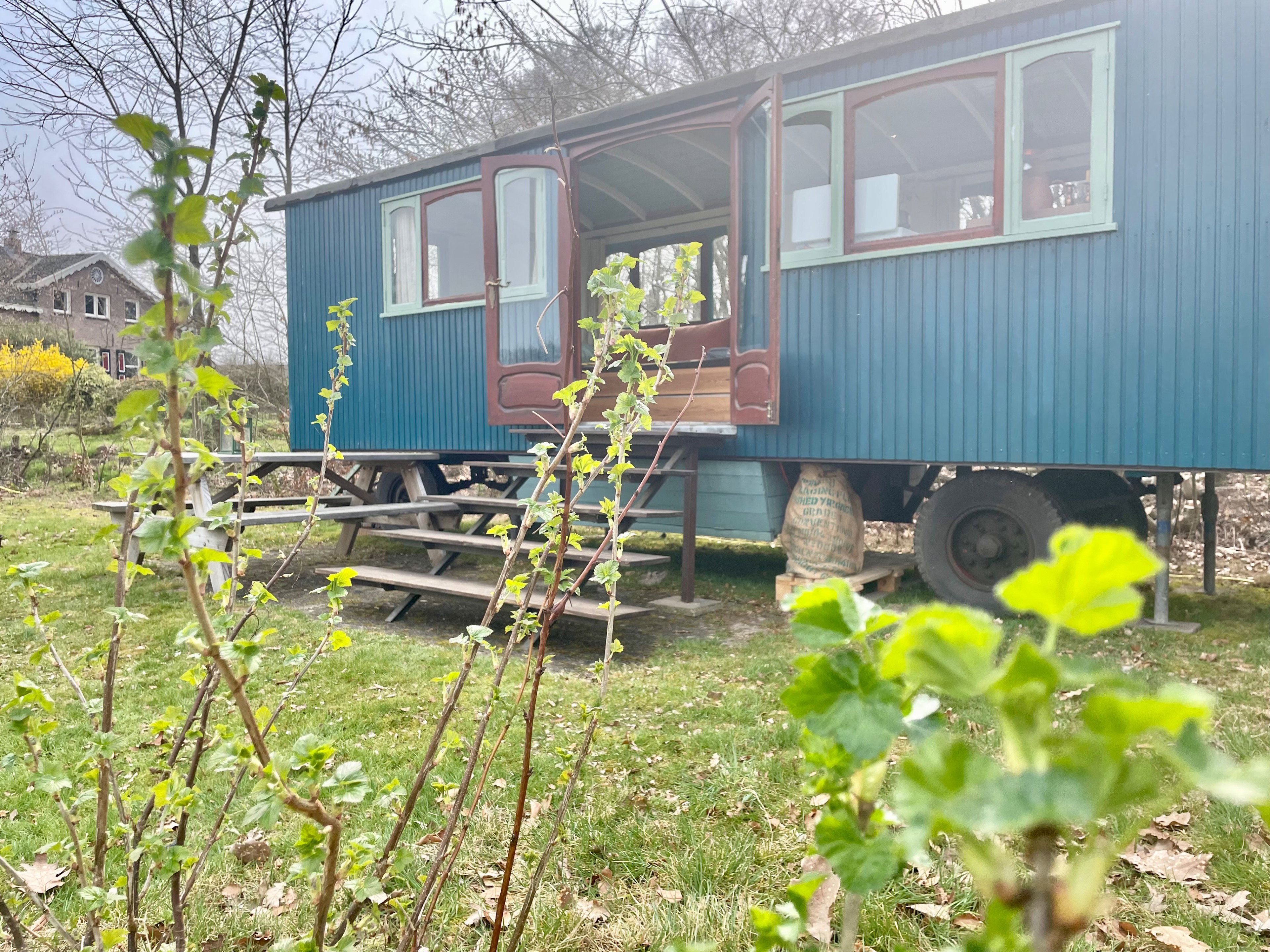 Nature house in Lochem