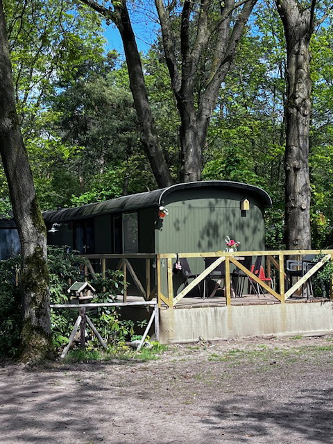 Nature house in Escharen