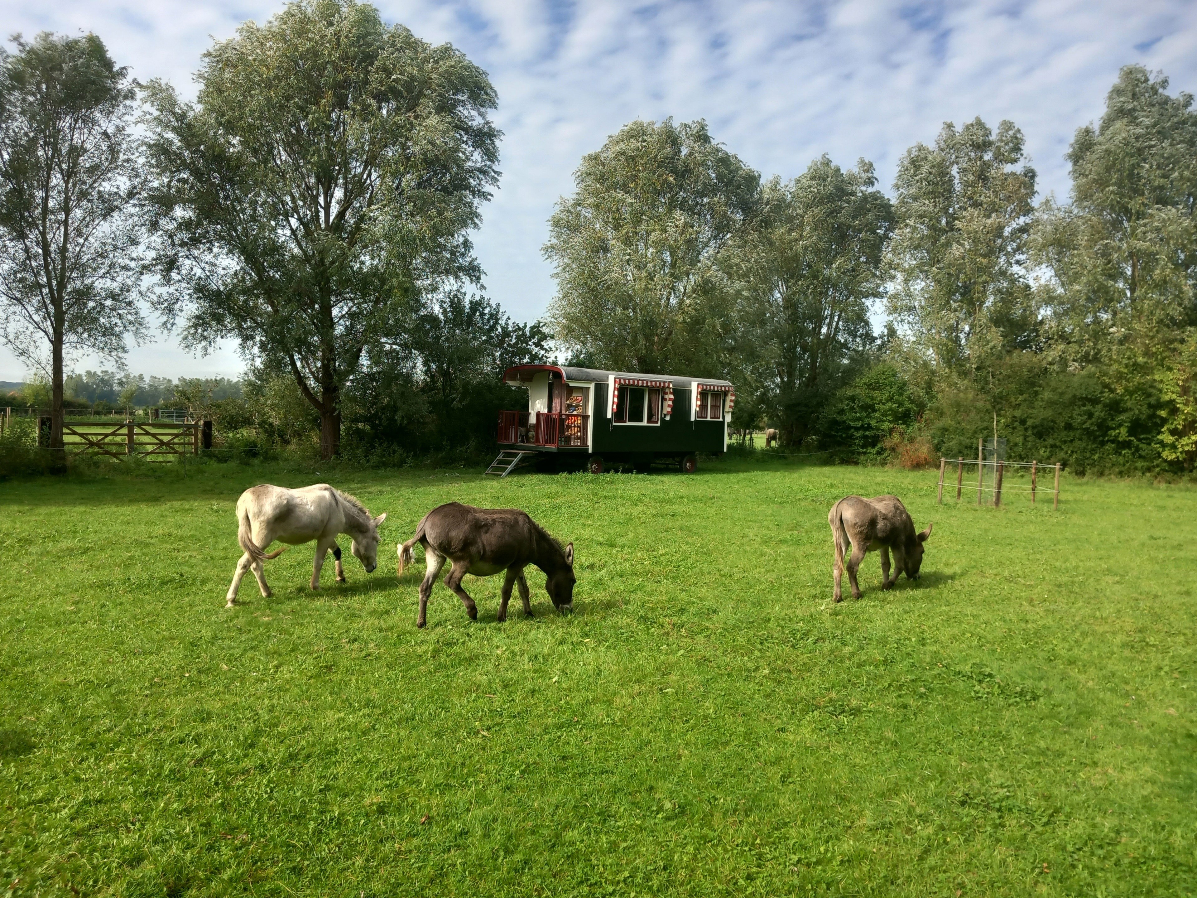 Natuurhuisje in Koudekerke