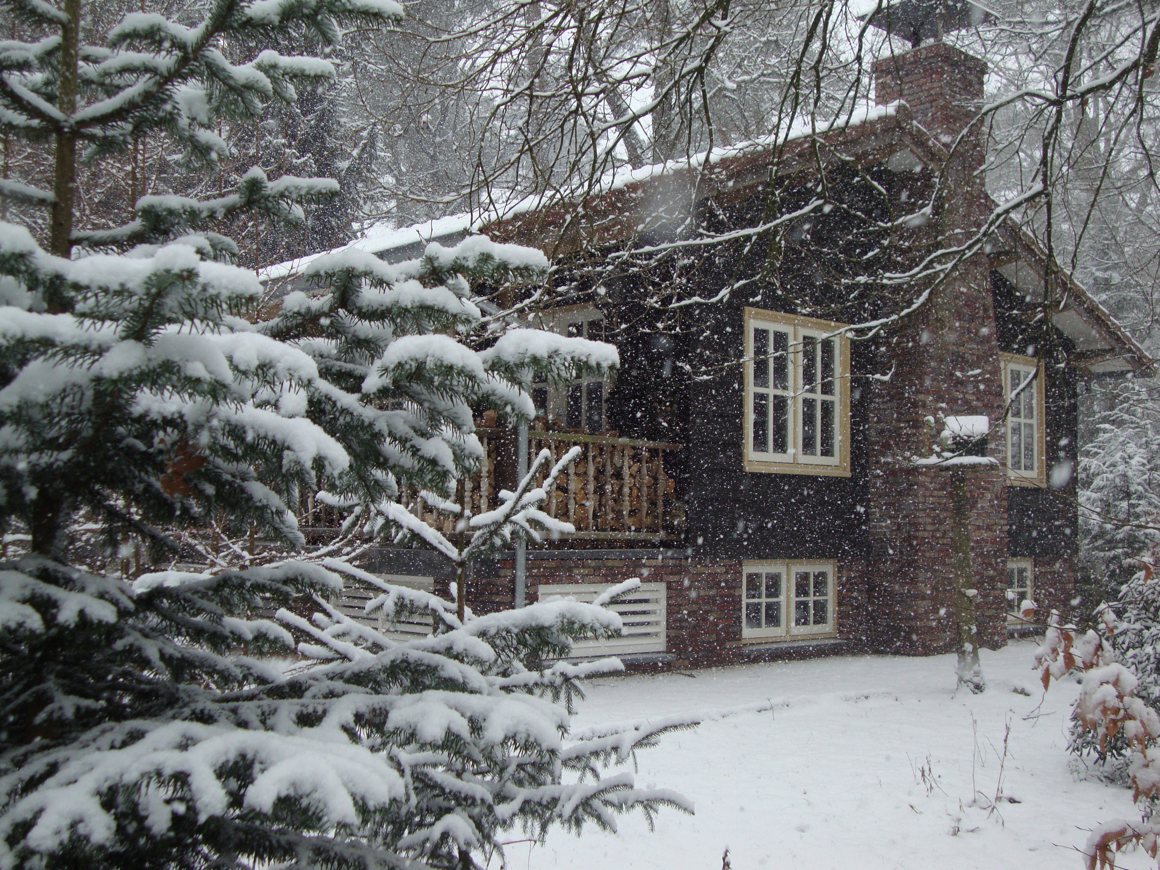 Natuurhuisje in Emst