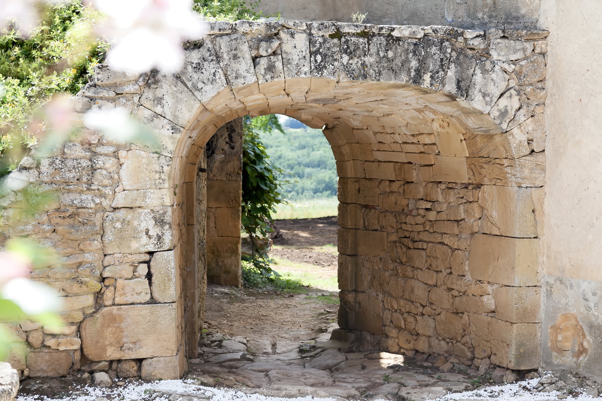 - image: 29
