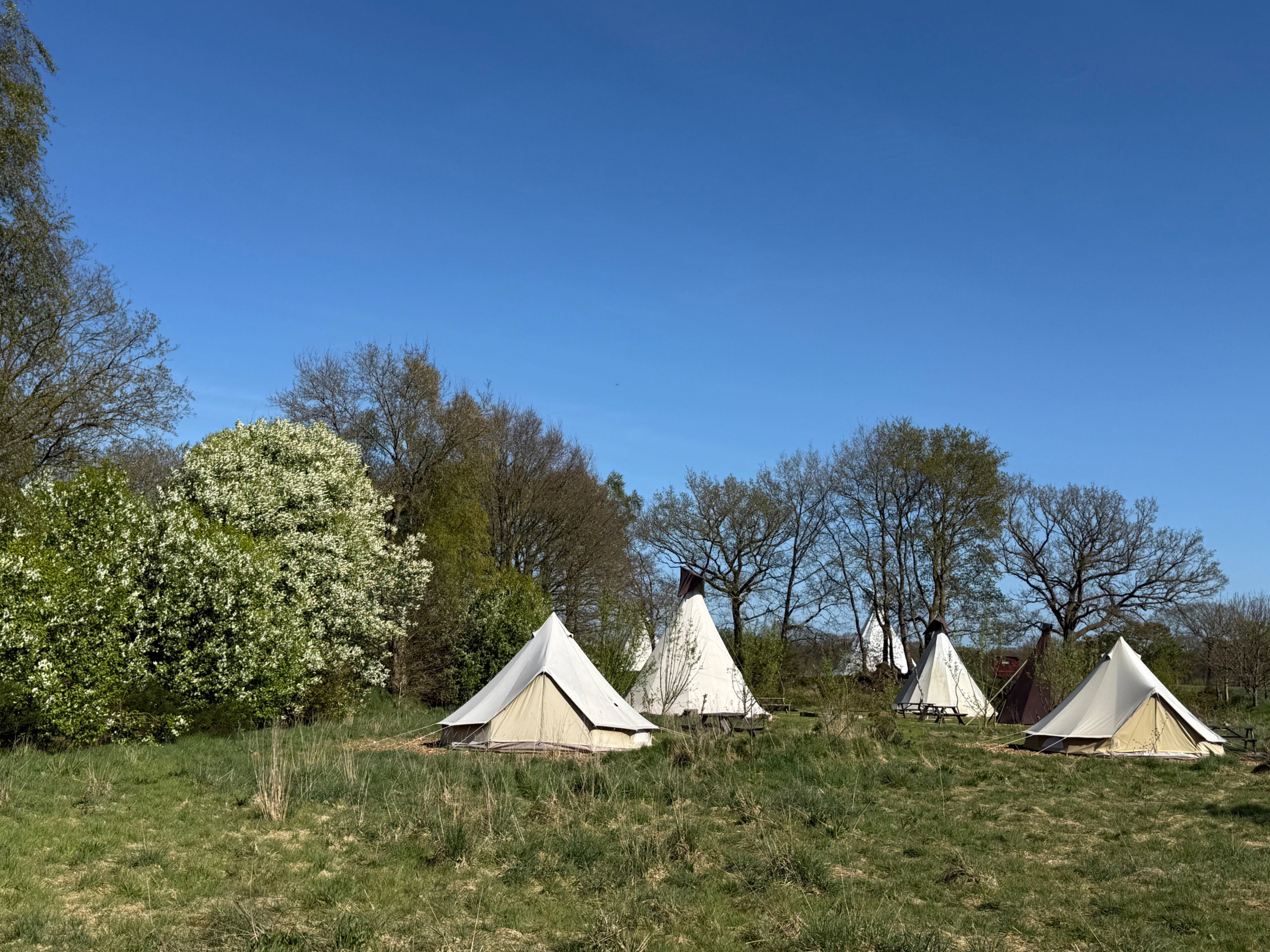 Nature house in Siegerswoude