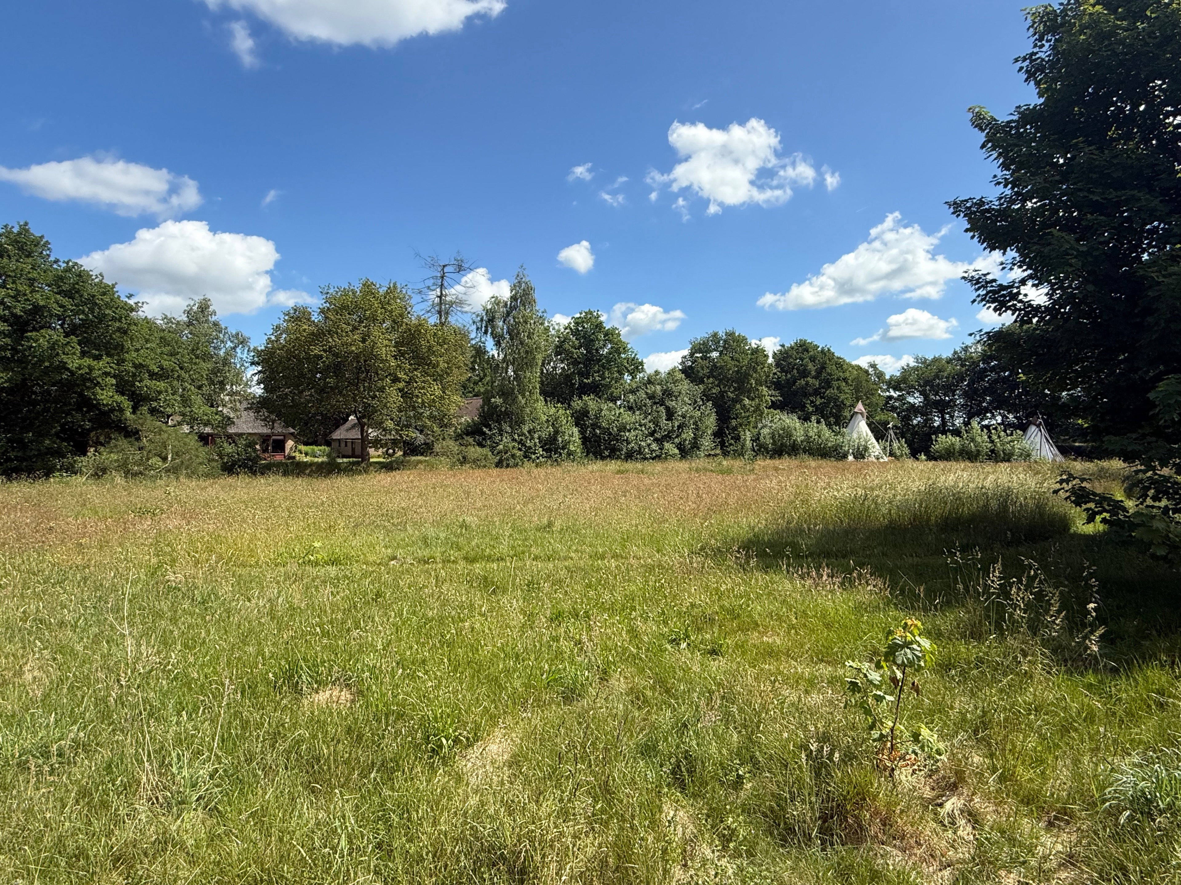 Nature house in Siegerswoude