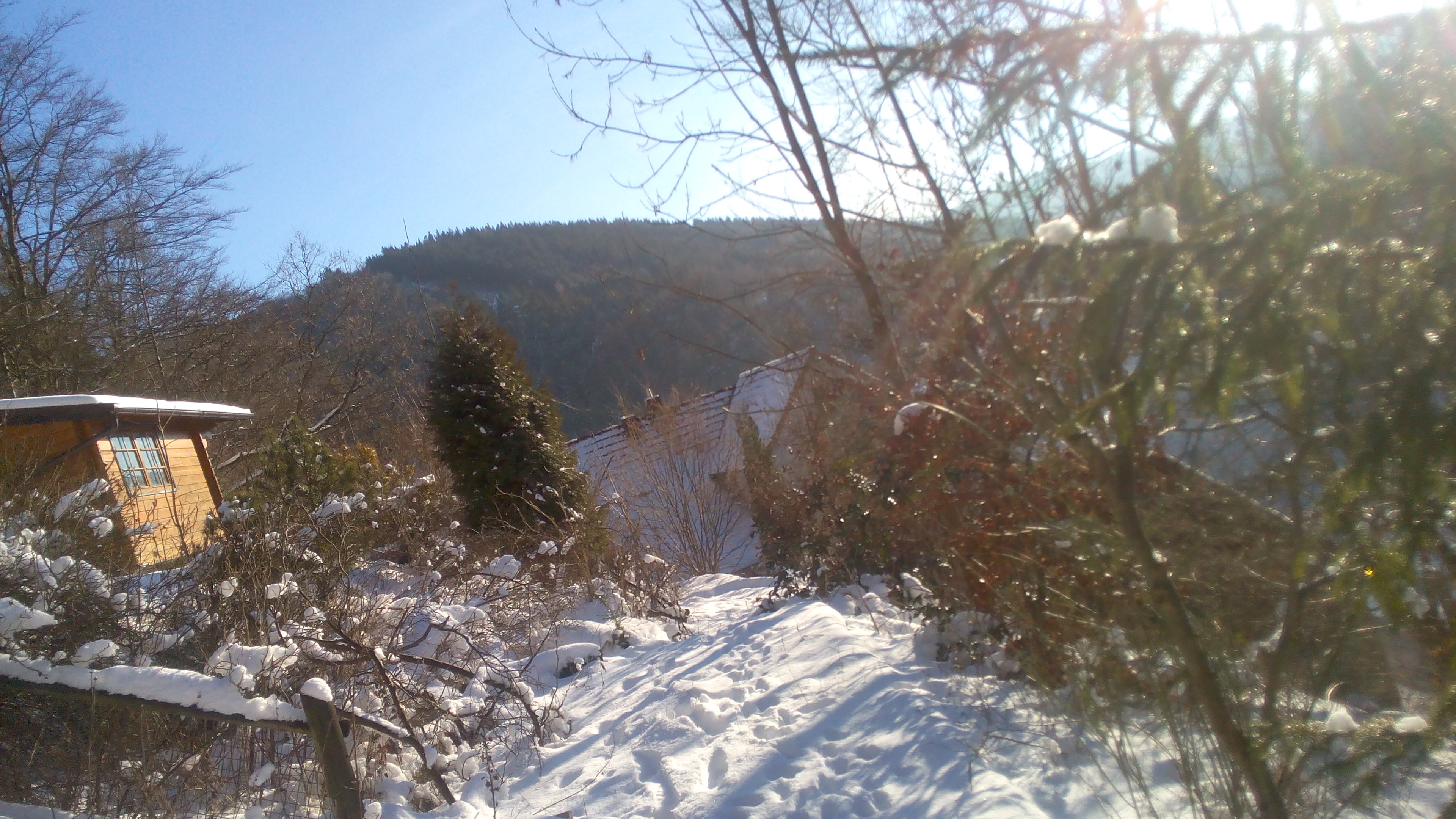 Nature house in Brilon