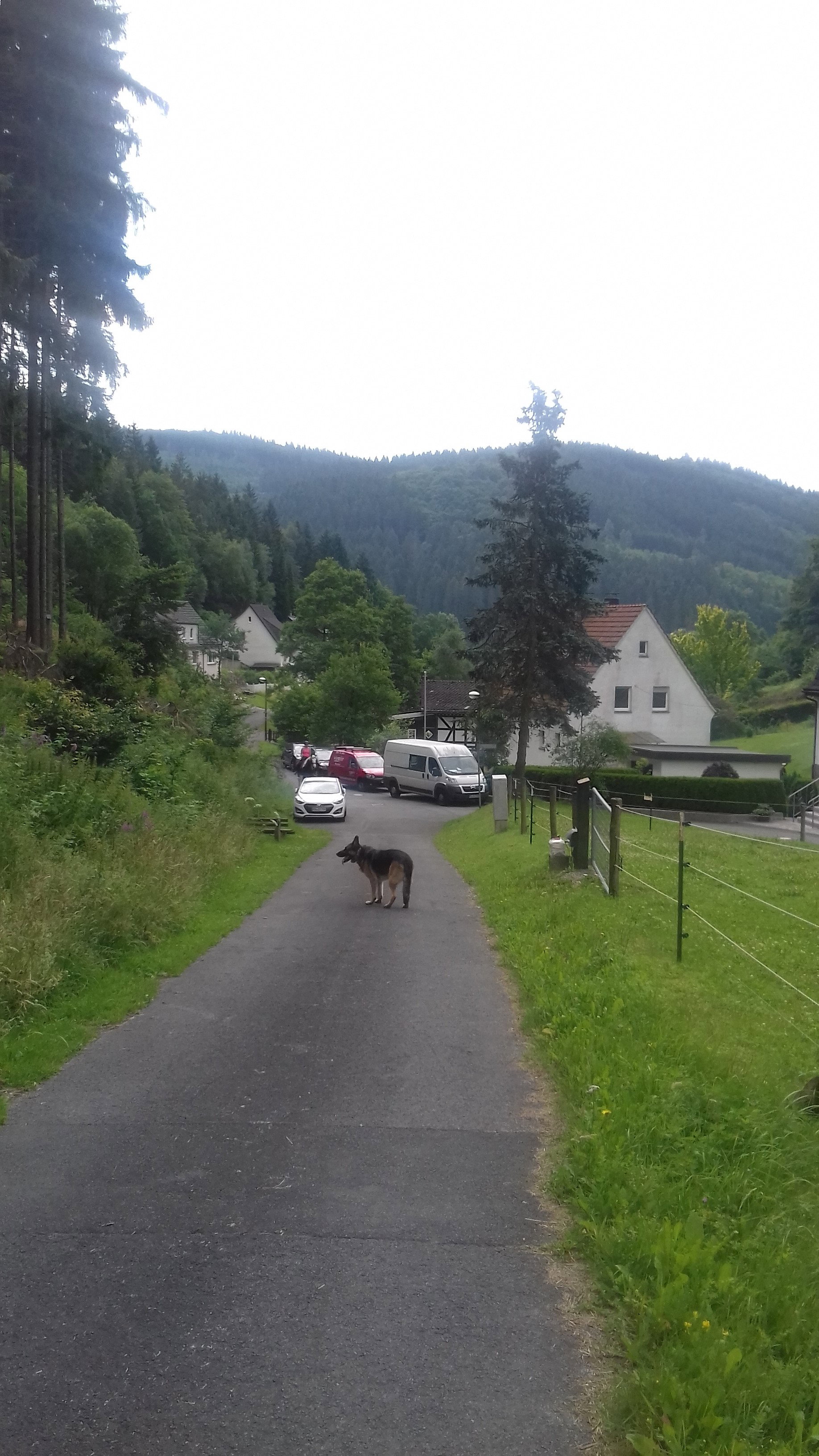 Nature house in Brilon