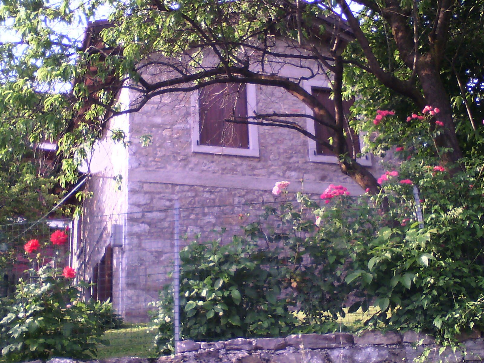 Natuurhuisje in Savogna