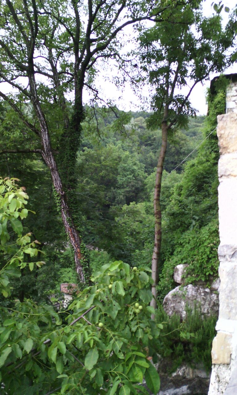 - image: 14