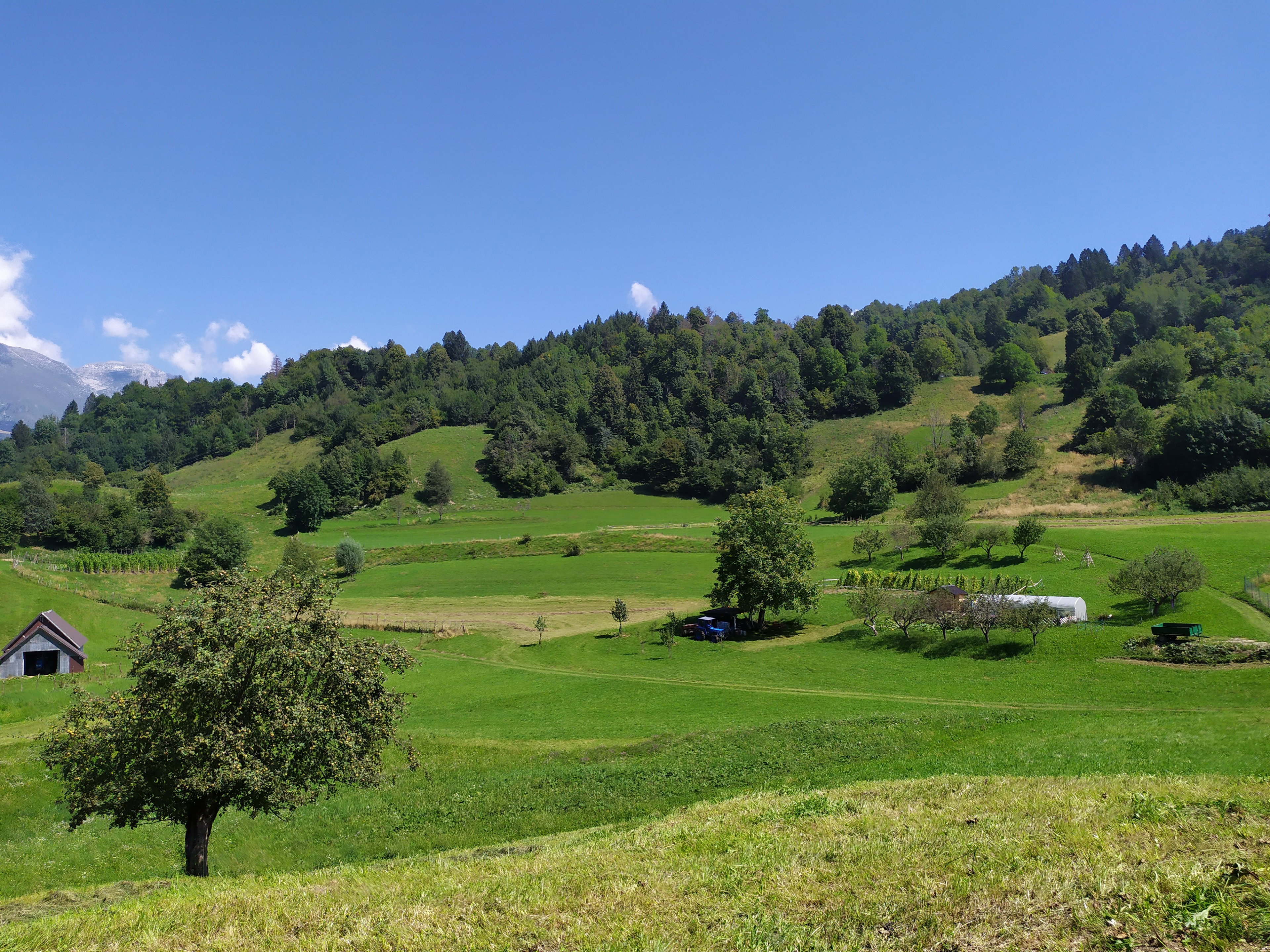 - image: 63