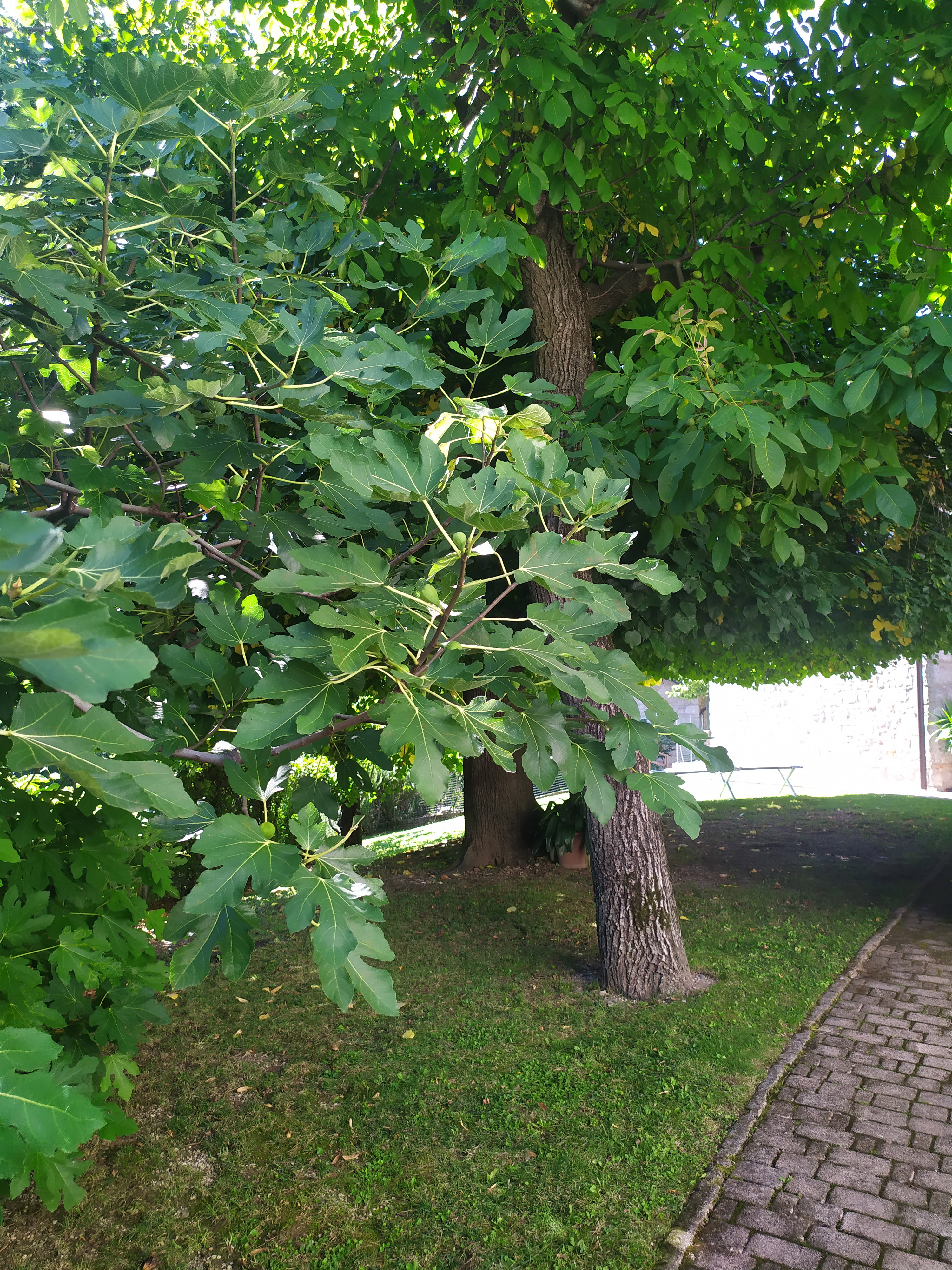 Natuurhuisje in Savogna