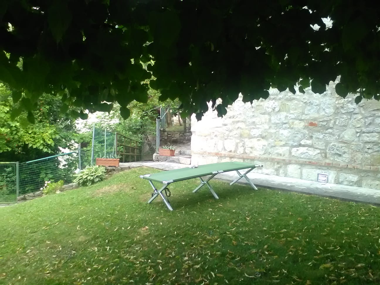 - image: 11