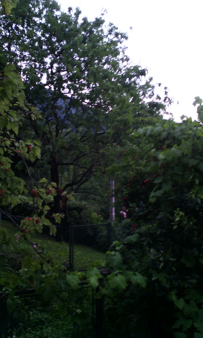 - image: 15