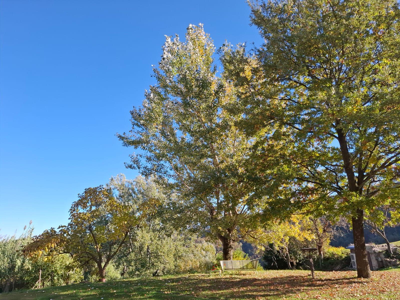 Nature house in Torrazza coste