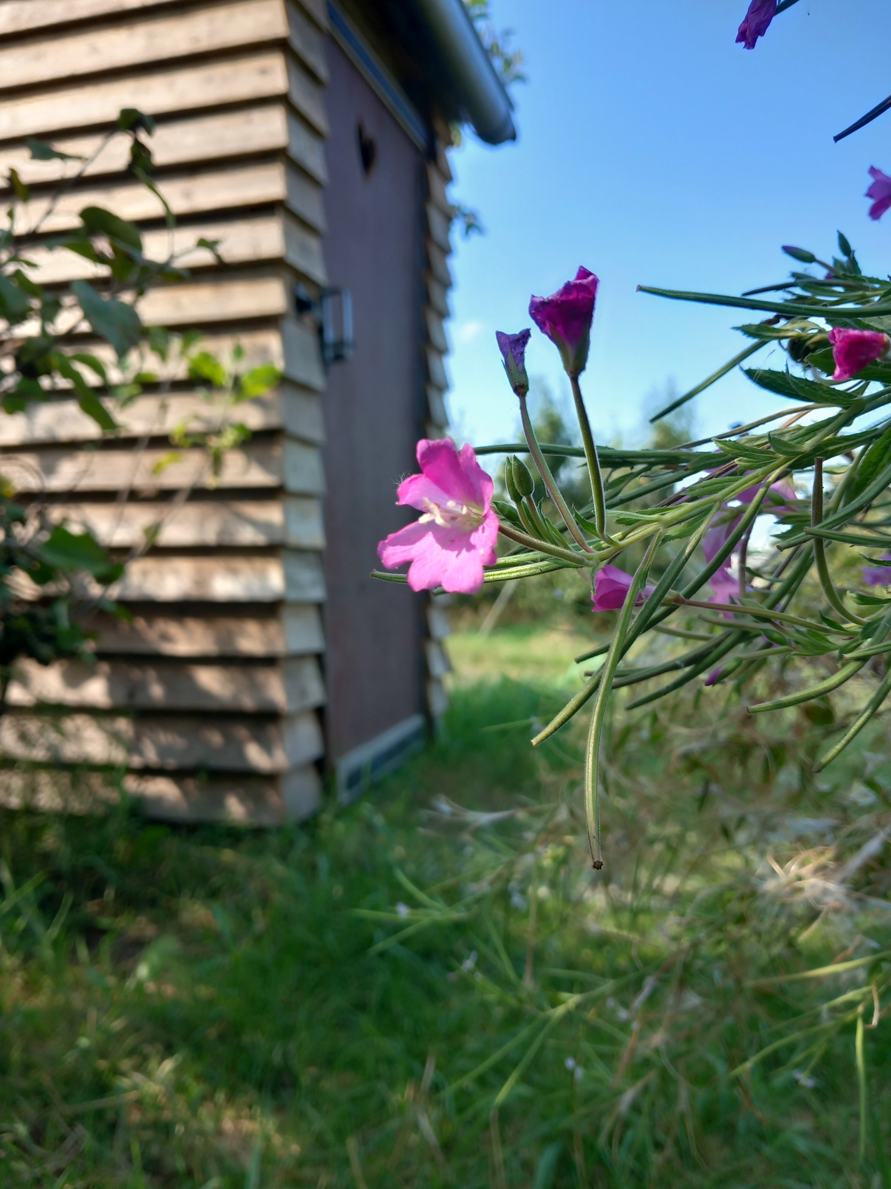 Casa nella natura a Tienhoven a/d Lek