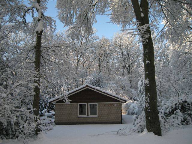 Natuurhuisje in Oudemirdum