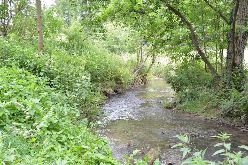 - image: 11