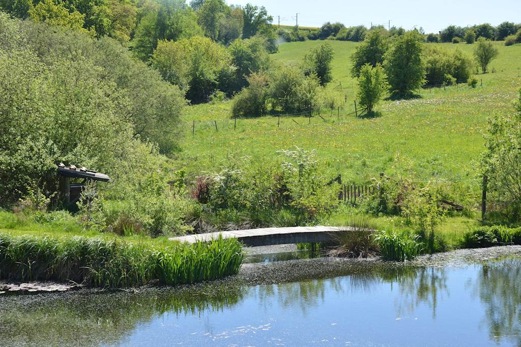 Natuurhuisje in Pondrôme