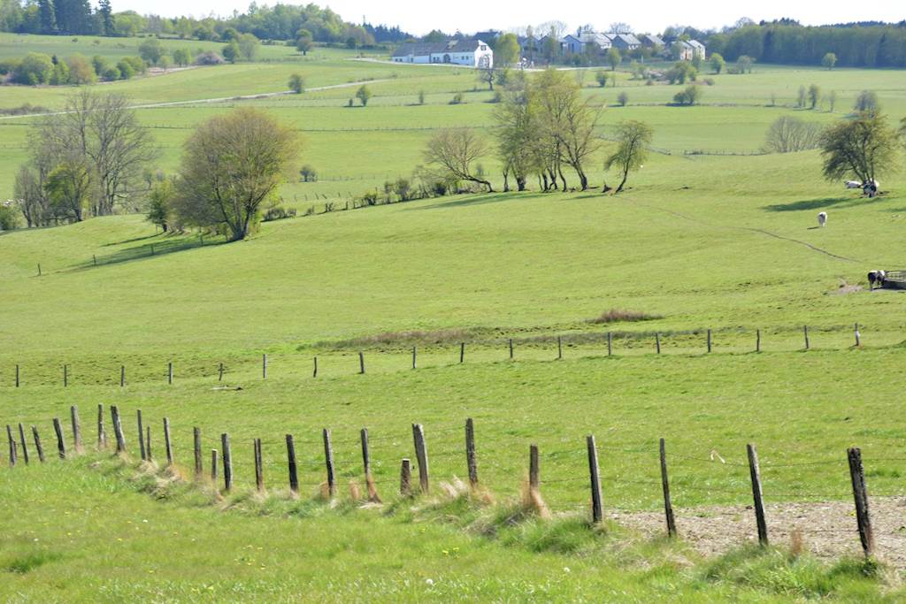 Natuurhuisje in Pondrôme