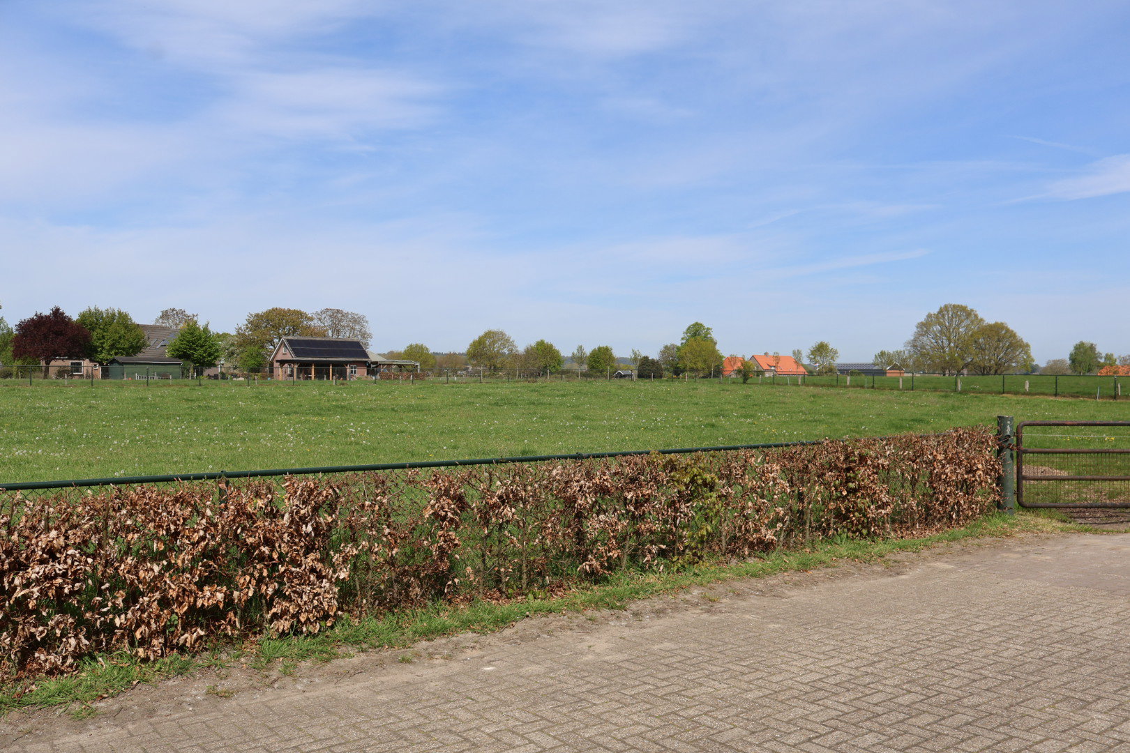 - image: 25