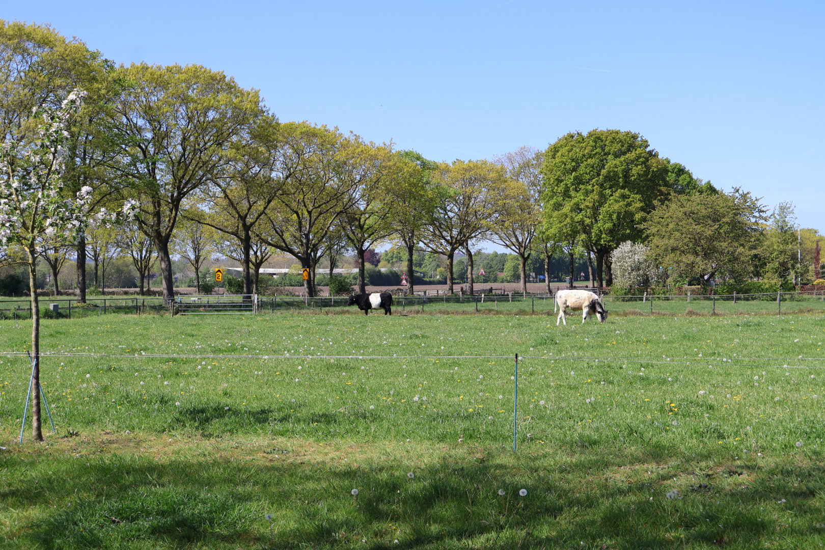 Natuurhuisje in Groesbeek