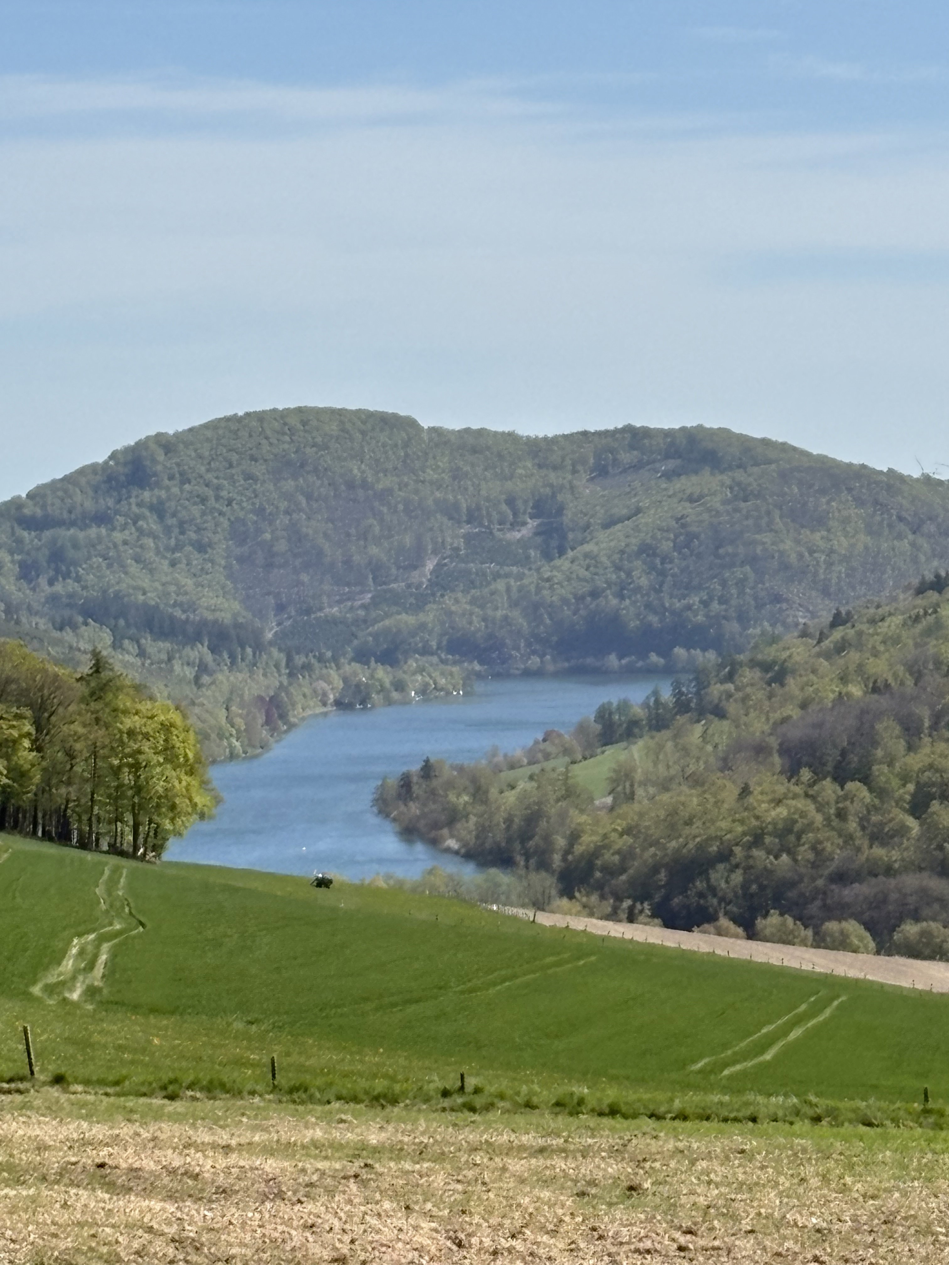 - image: 11