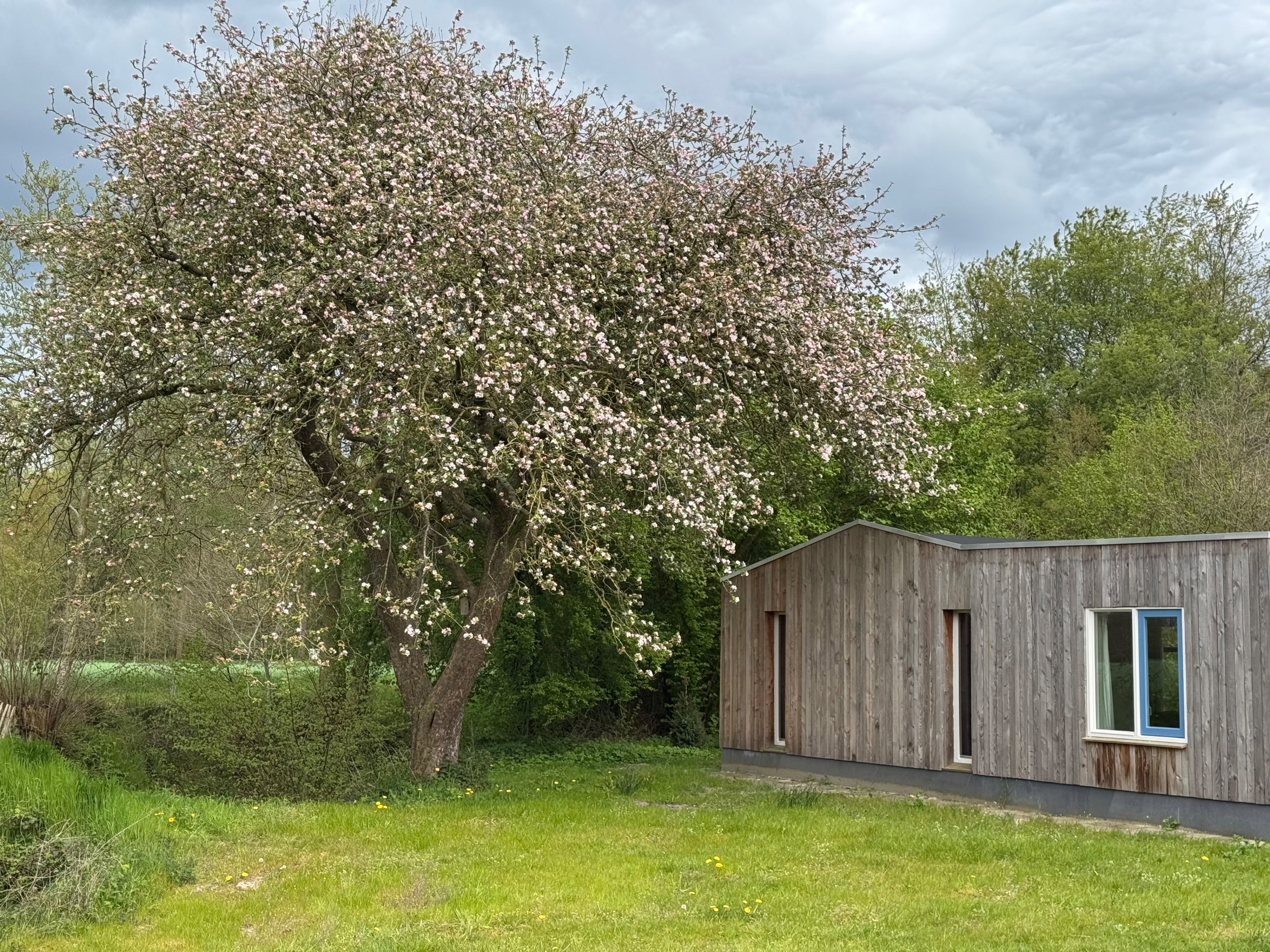 Natuurhuisje in Emst