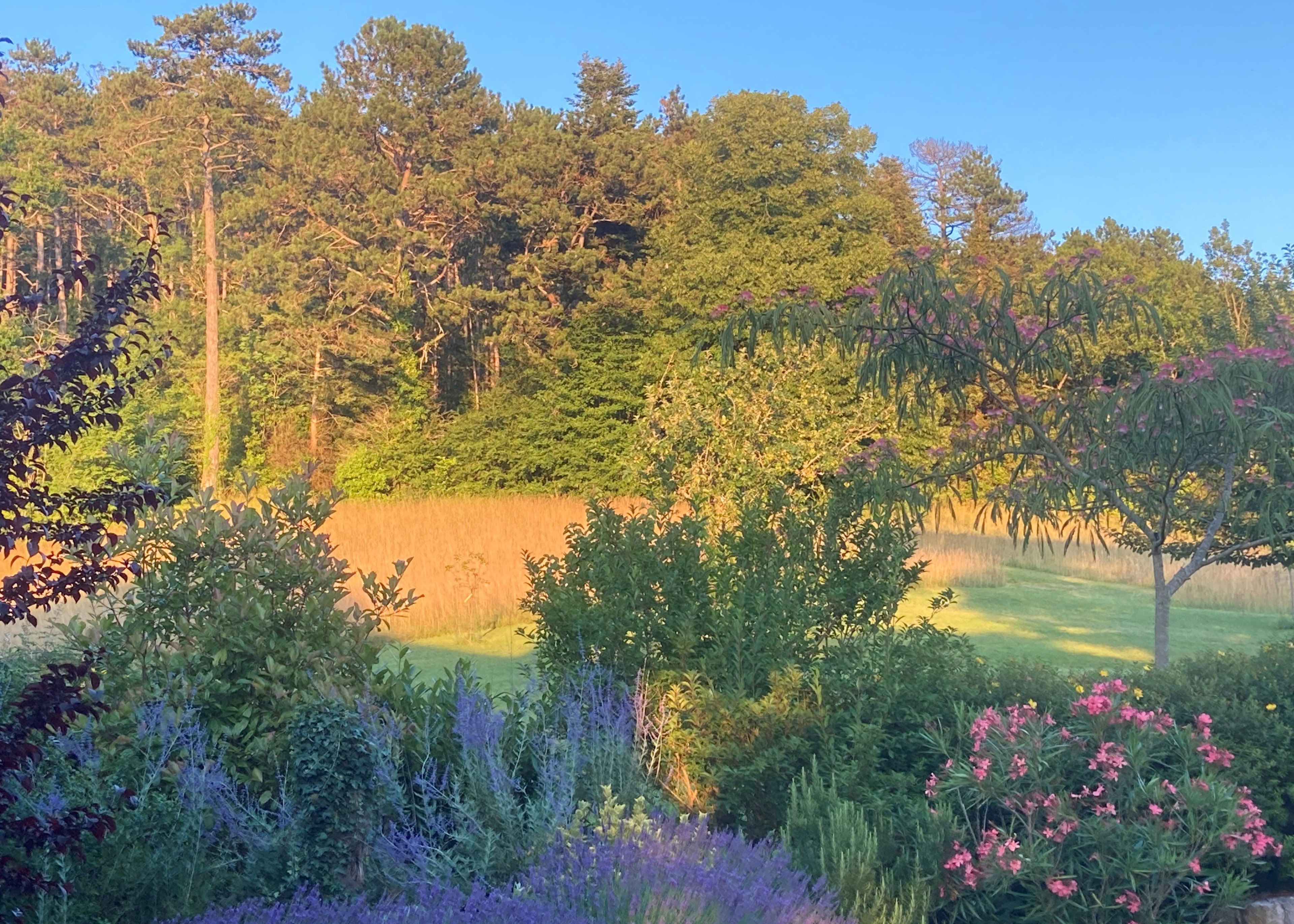 Maison nature à Penne d'Agenais