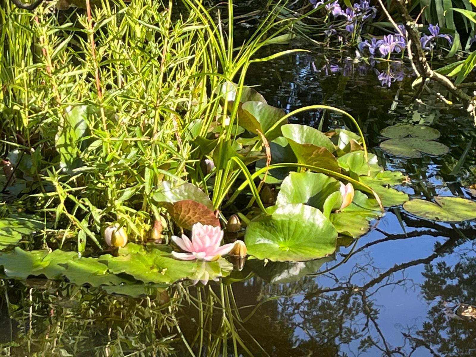Natuurhuisje in Coux-et-Bigaroque Mouzens