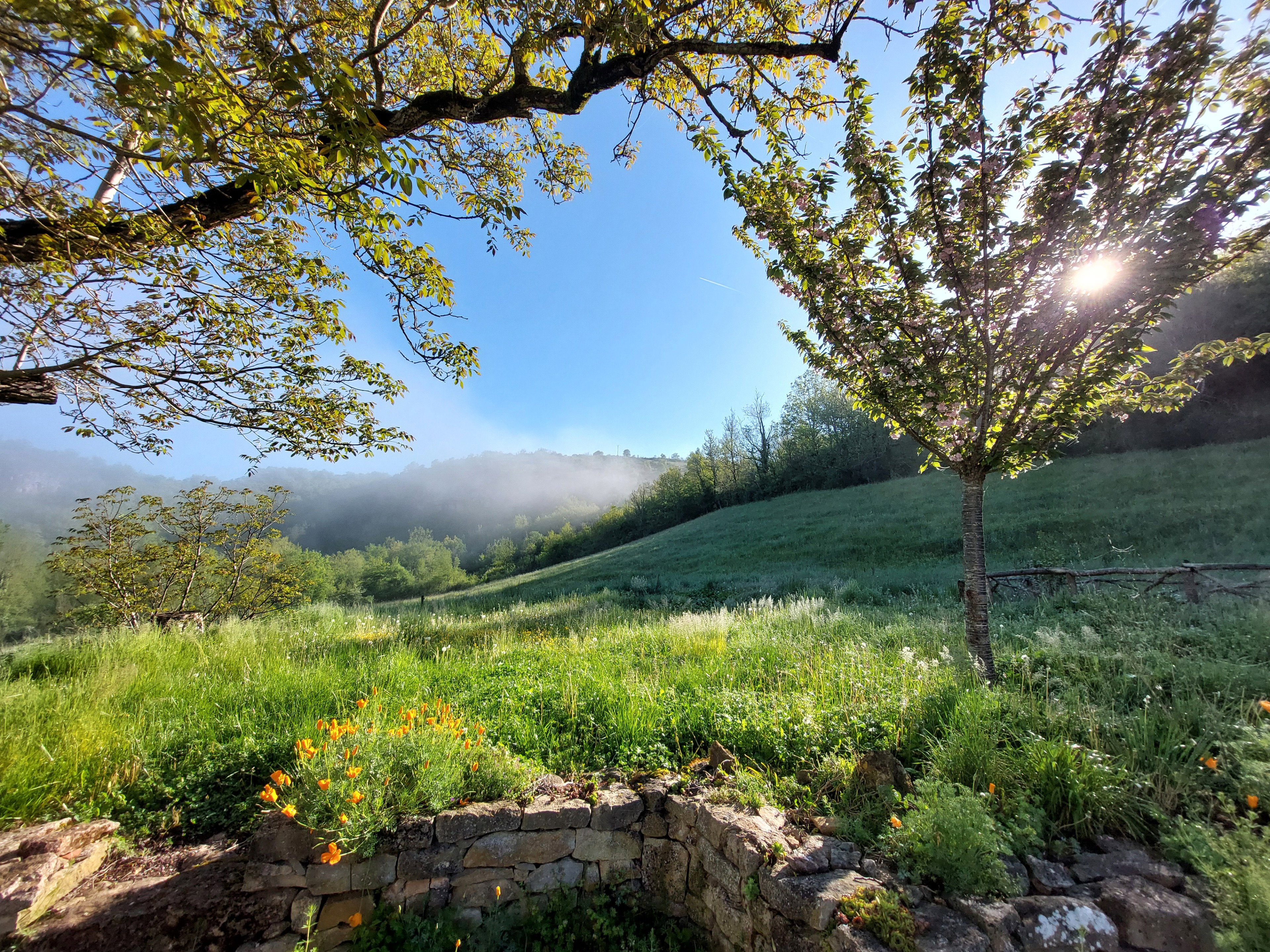 Natuurhuisje in Saint Antonin Noble Val