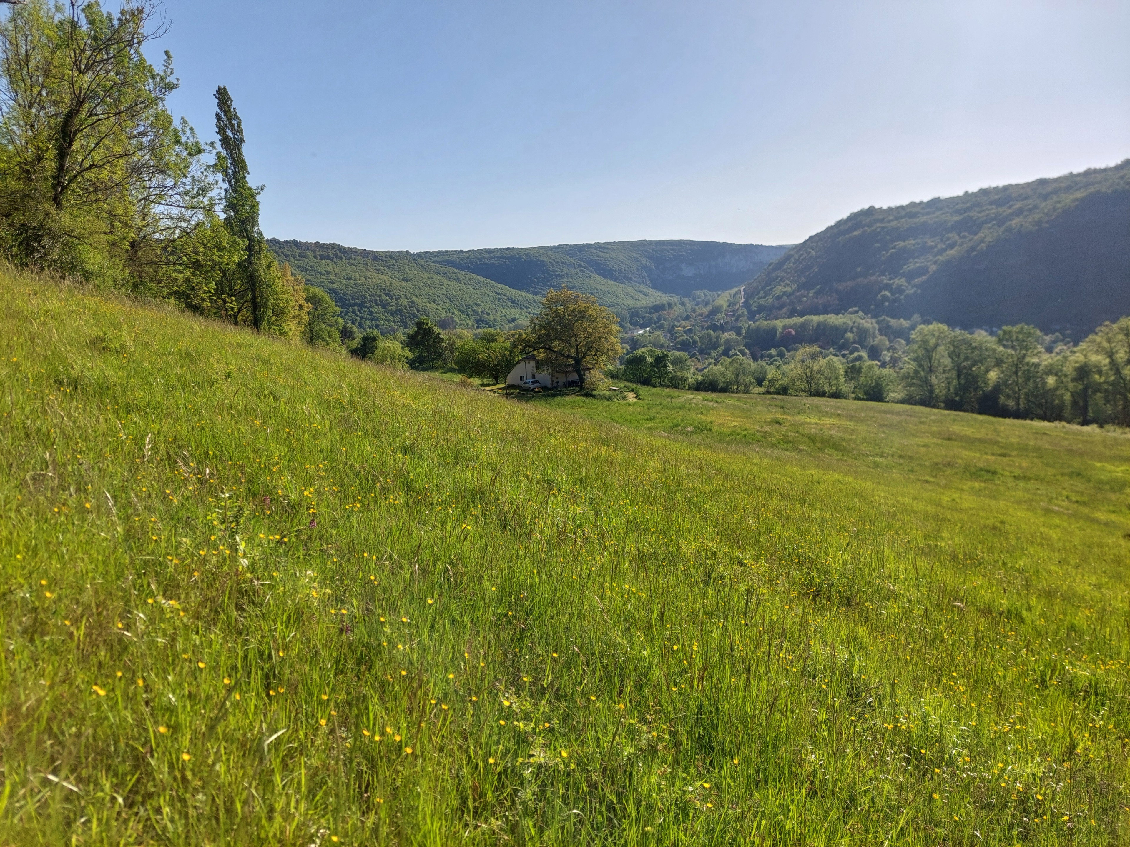 - image: 12