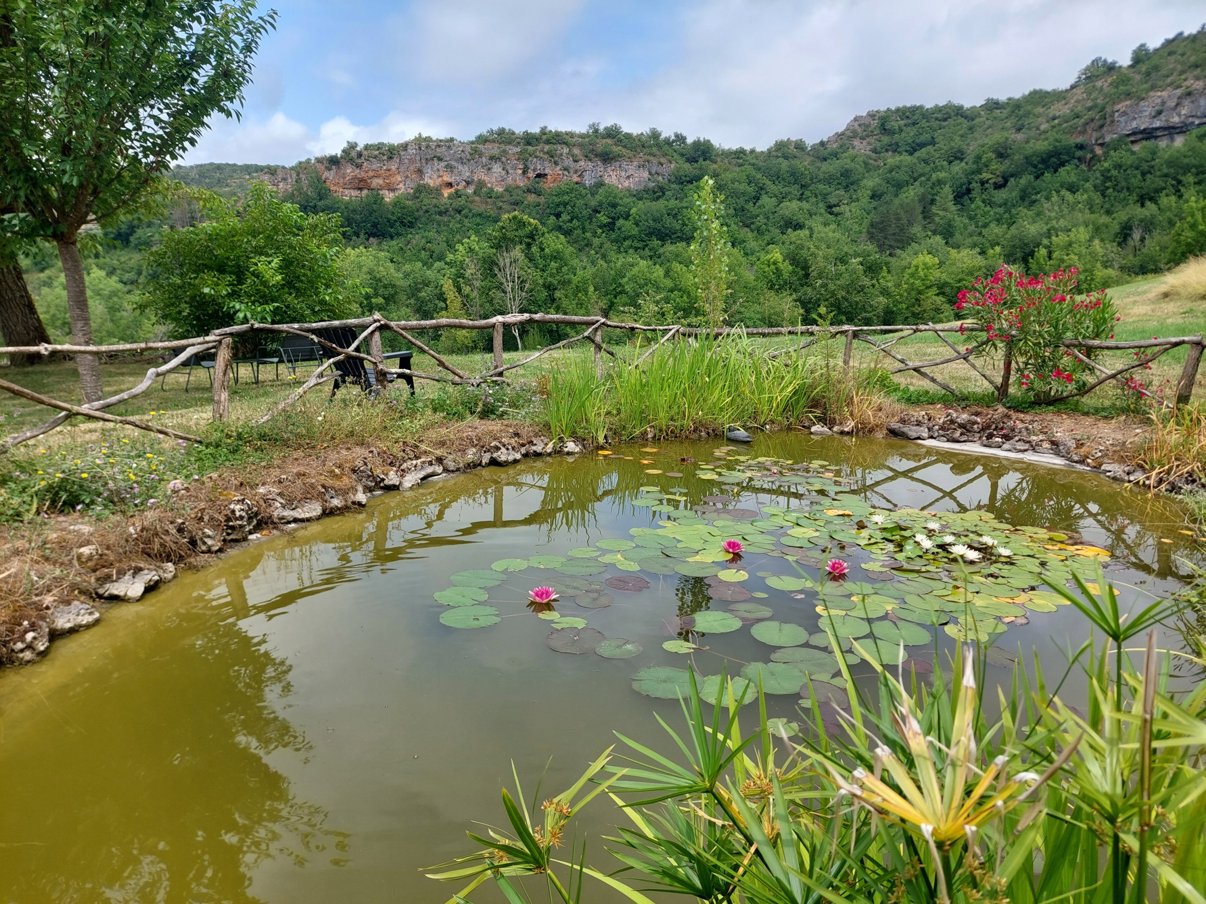 - image: 29