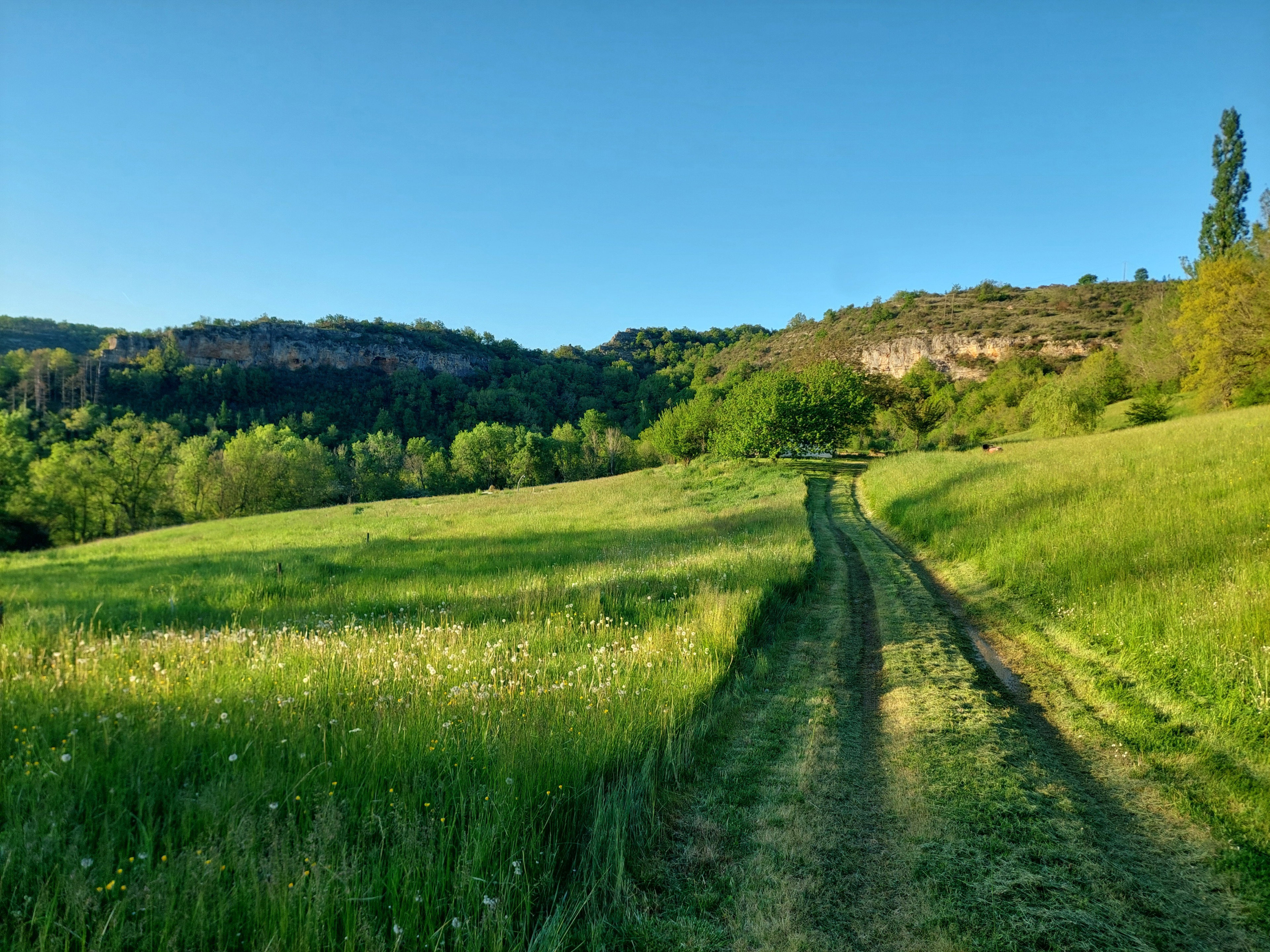 Natuurhuisje in Saint Antonin Noble Val