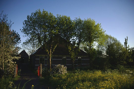 - image: 25