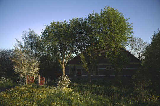 - image: 17