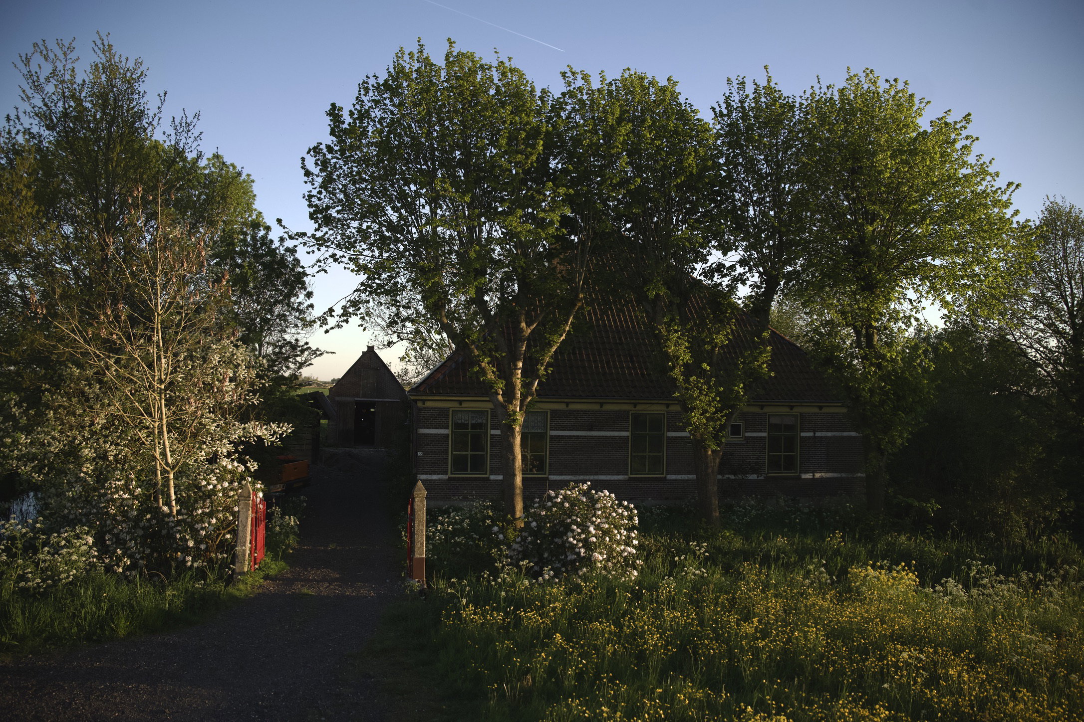 - image: 42